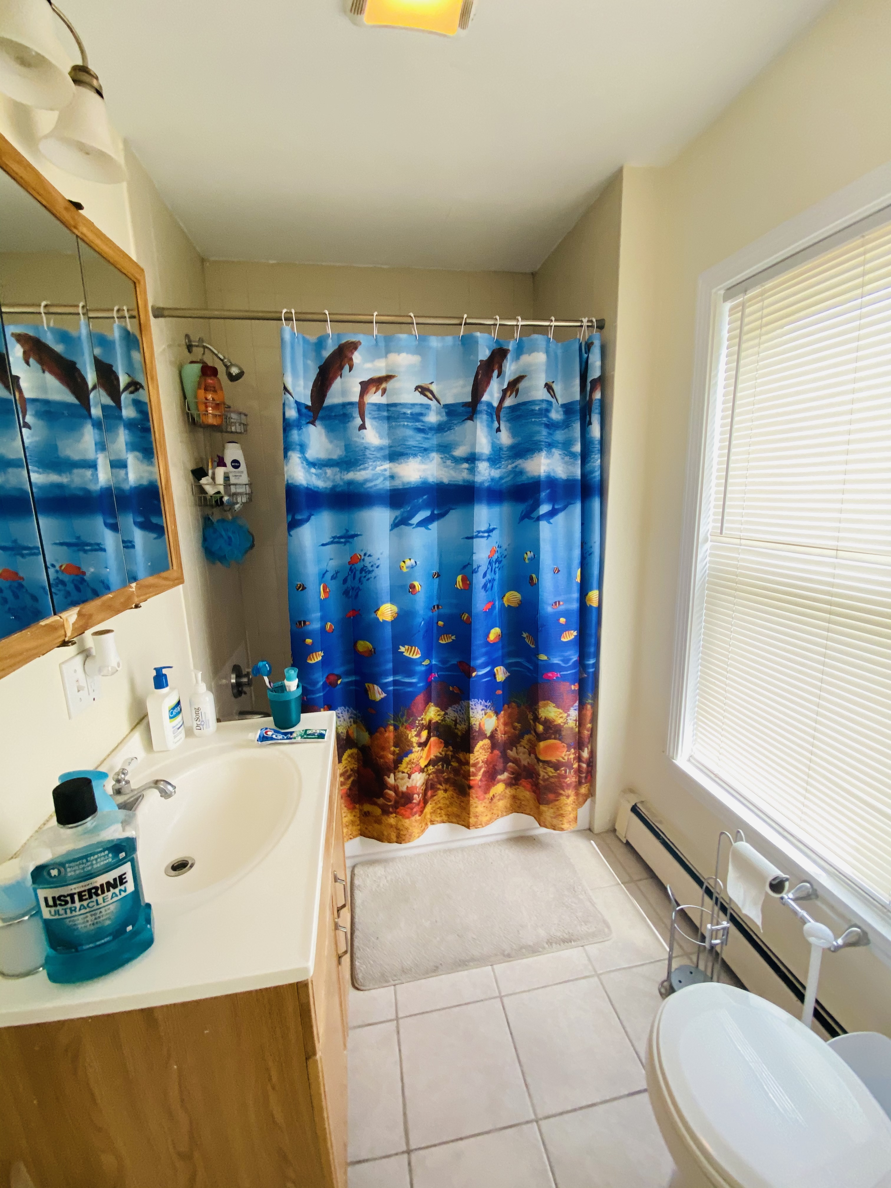 3 bed, 1 bath apartment for rent at 9 Parker St Unit 2, Charlestown — photo 3 of 6