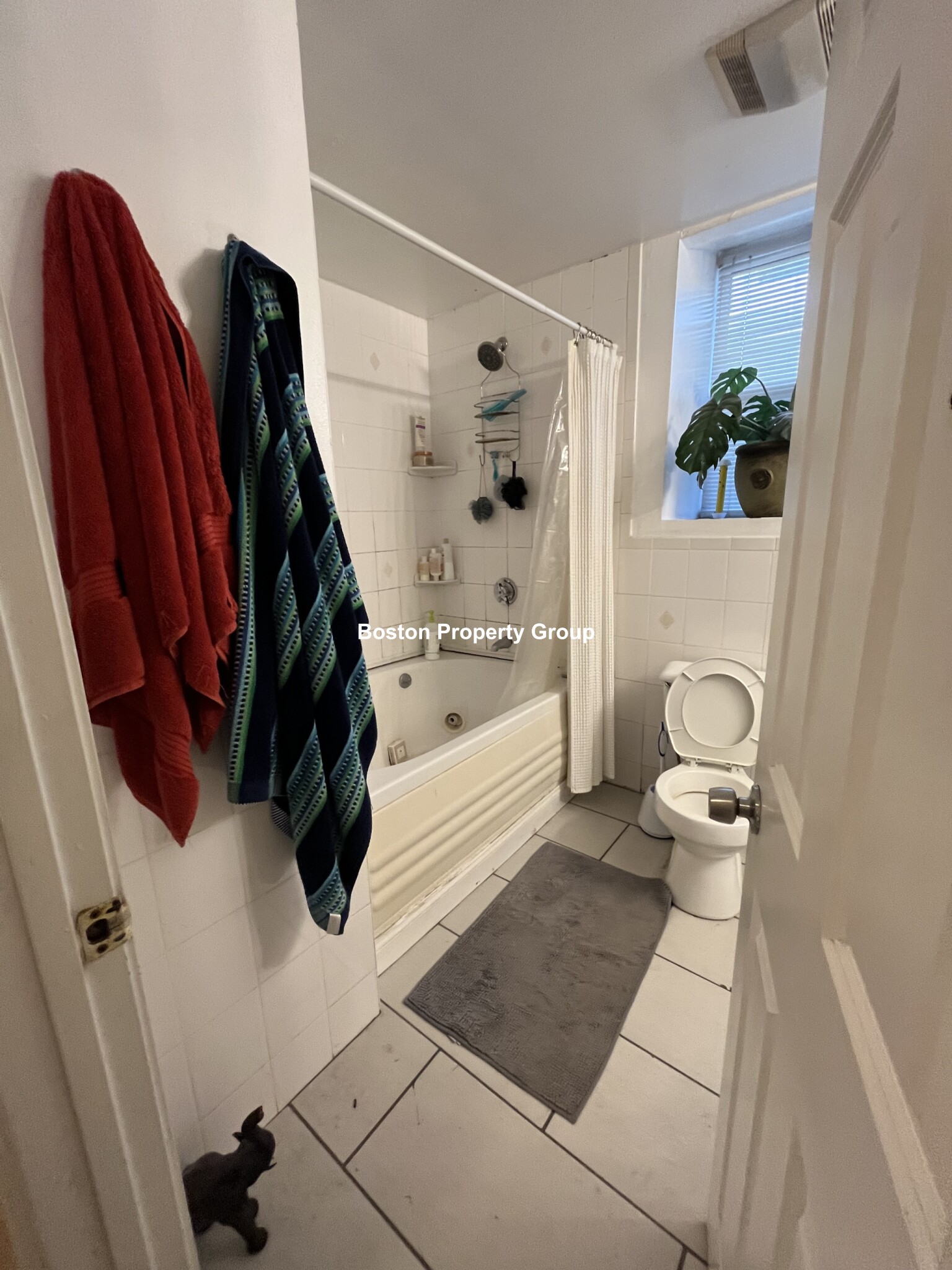 13 Sparhawk St, Brighton