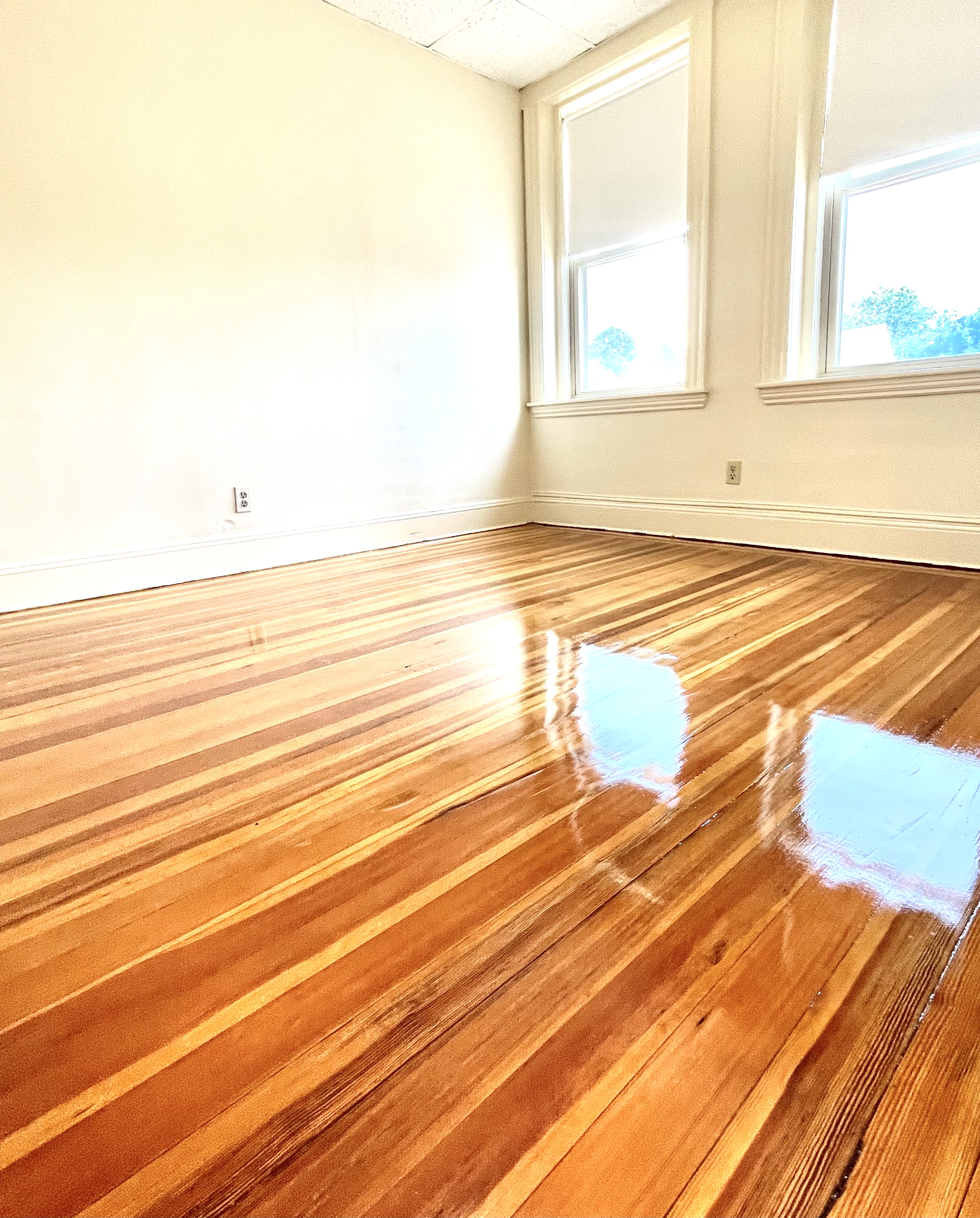 7 Woodbridge St, North Cambridge