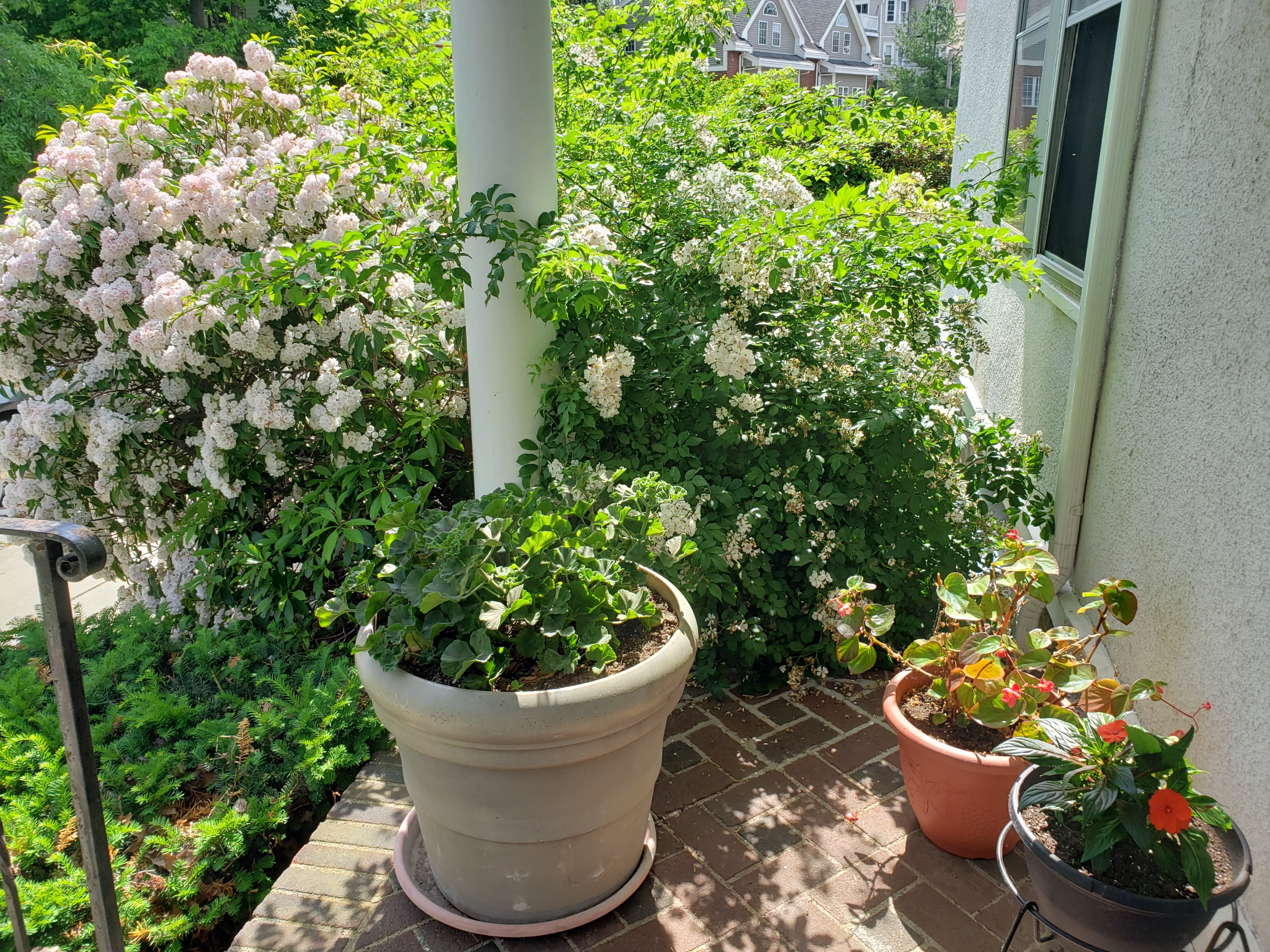 3 bed, 1 bath apartment for rent at 34 Radnor Rd Unit 1, Brighton — photo 18 of 23
