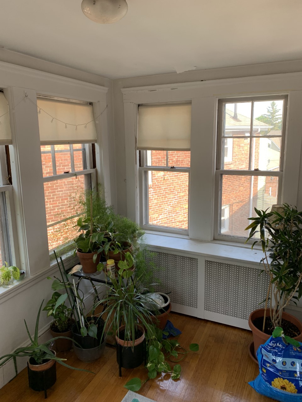 3 bed, 1 bath apartment for rent at 34 Radnor Rd Unit 1, Brighton — photo 14 of 23