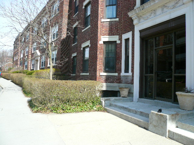 2 bed, 1 bath apartment for rent at 83 Pleasant St Unit B, Brookline Village — photo 19 of 19
