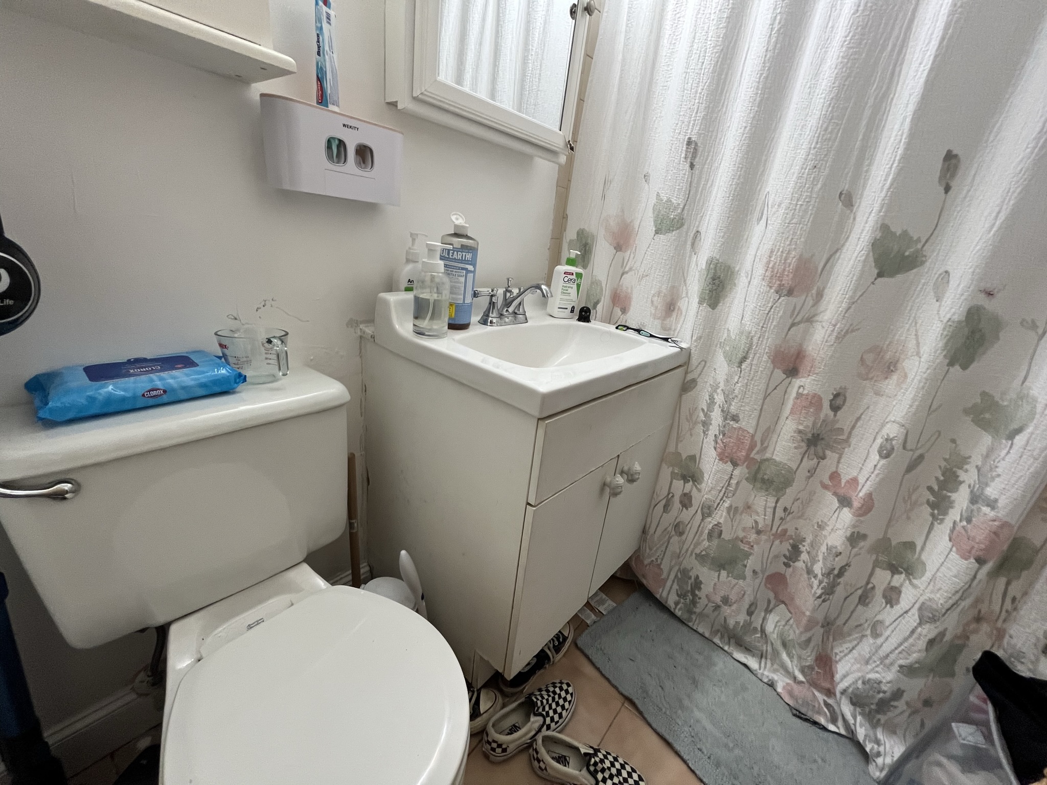 https://ygl-photos.s3.us-west-004.backblazeb2.com/10375O6629b50f62654.jpeg