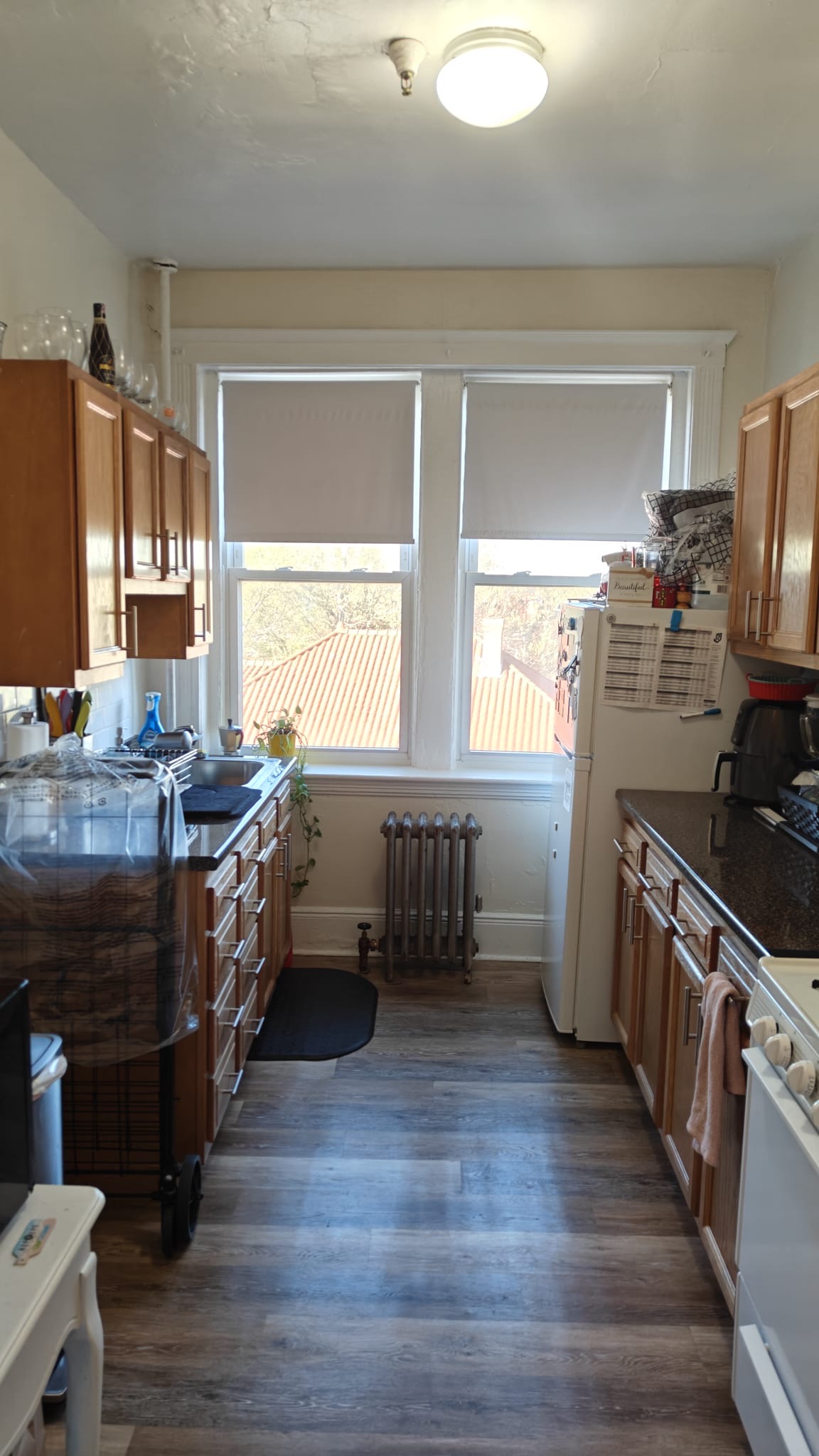 https://ygl-photos.s3.us-west-004.backblazeb2.com/10375O6812a1b1b5b8f.jpg