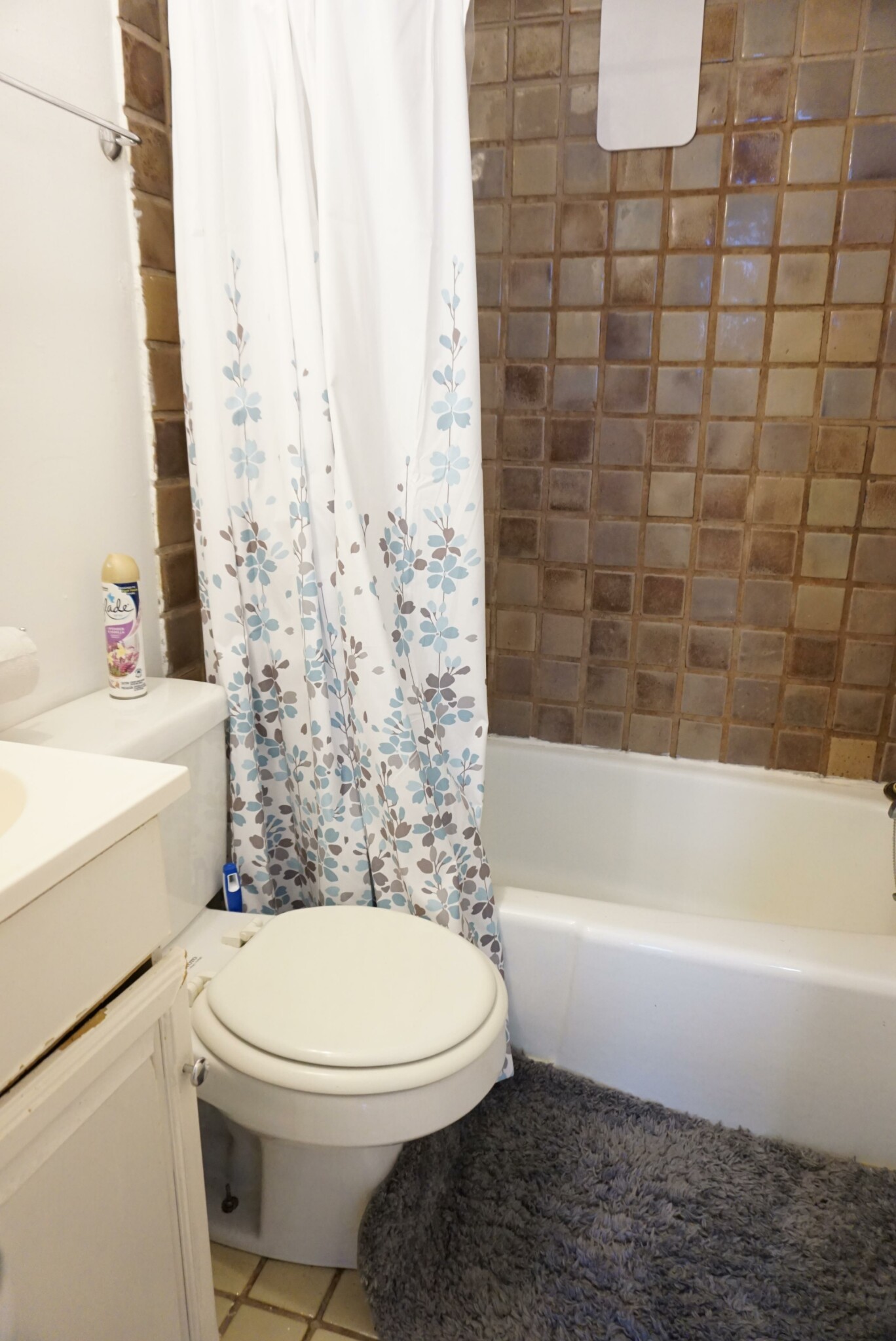 https://ygl-photos.s3.us-west-004.backblazeb2.com/10375W6089e1d4100c1.jpg