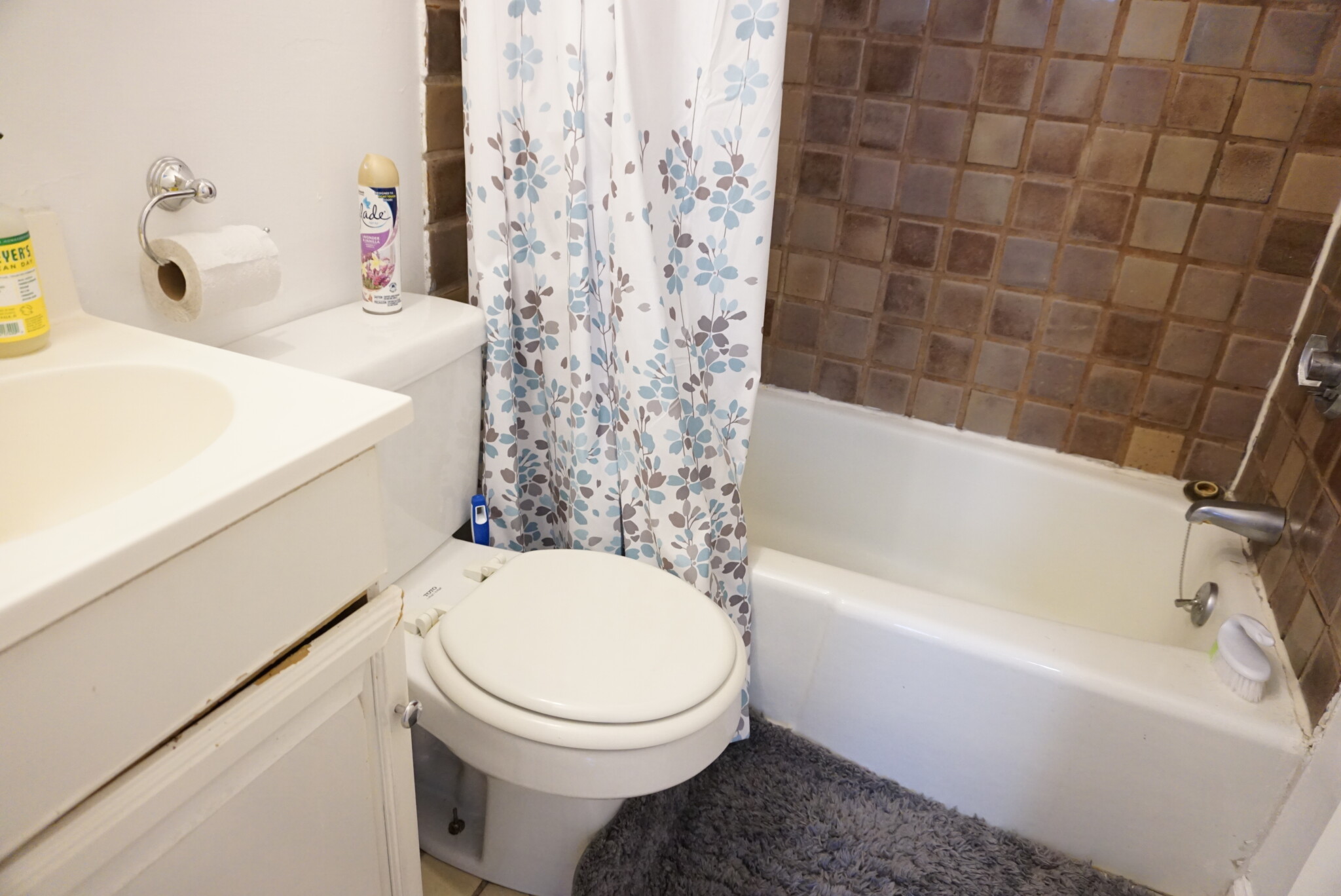 https://ygl-photos.s3.us-west-004.backblazeb2.com/10375W6089e1d563136.jpg