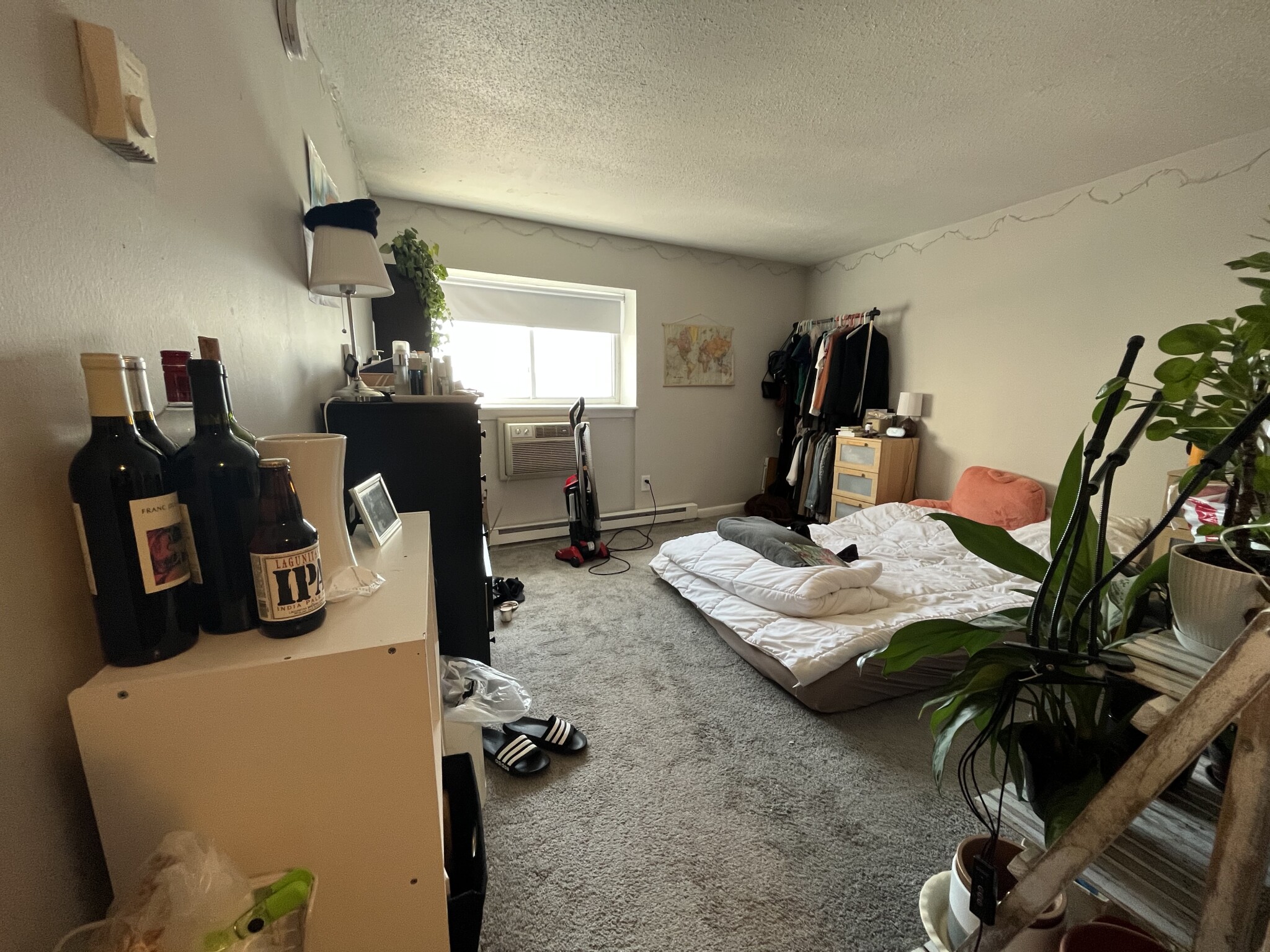 https://ygl-photos.s3.us-west-004.backblazeb2.com/10375W66b0109654ce8.jpg