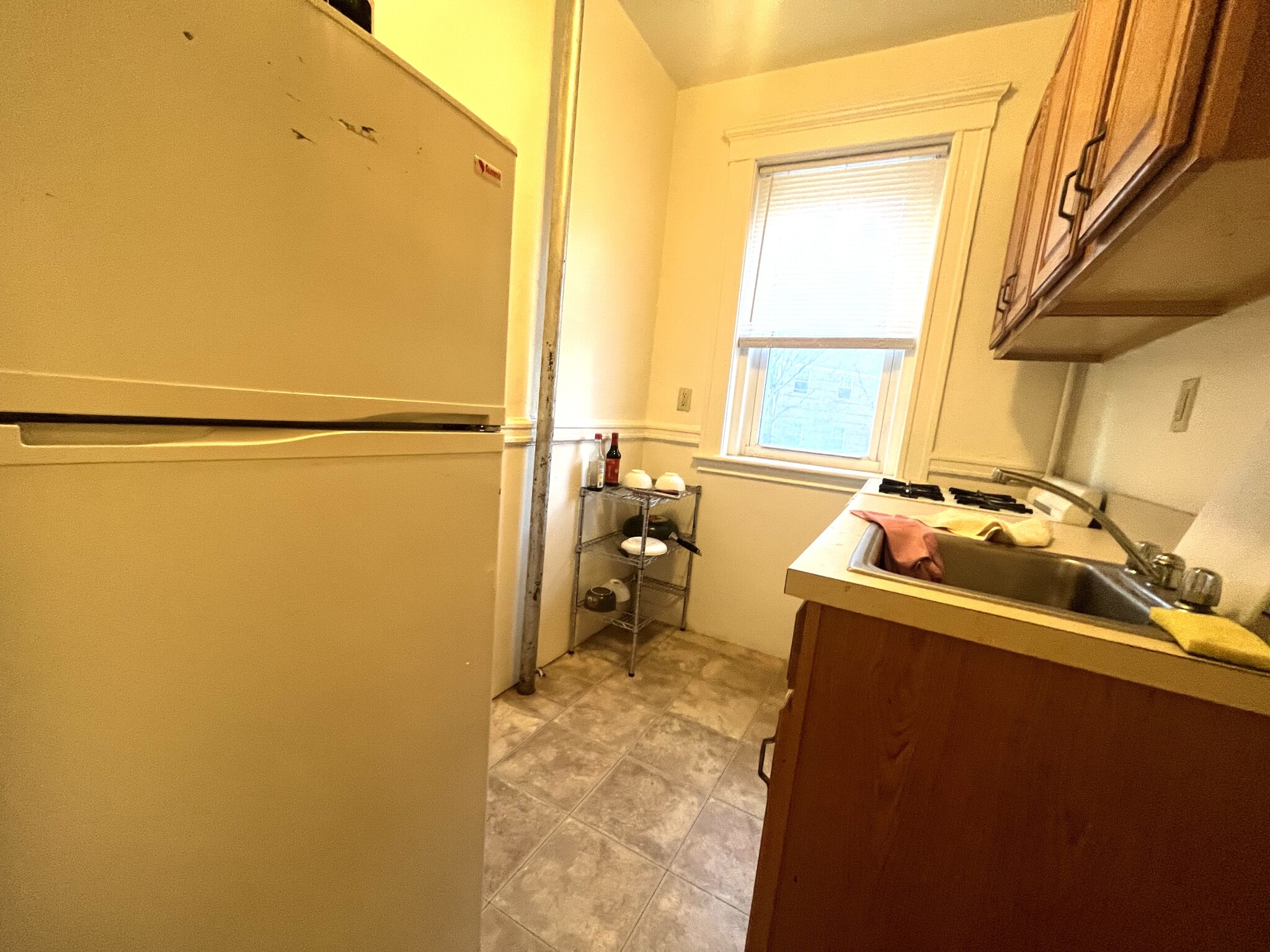https://ygl-photos.s3.us-west-004.backblazeb2.com/10375W67e1828f74e61.jpg
