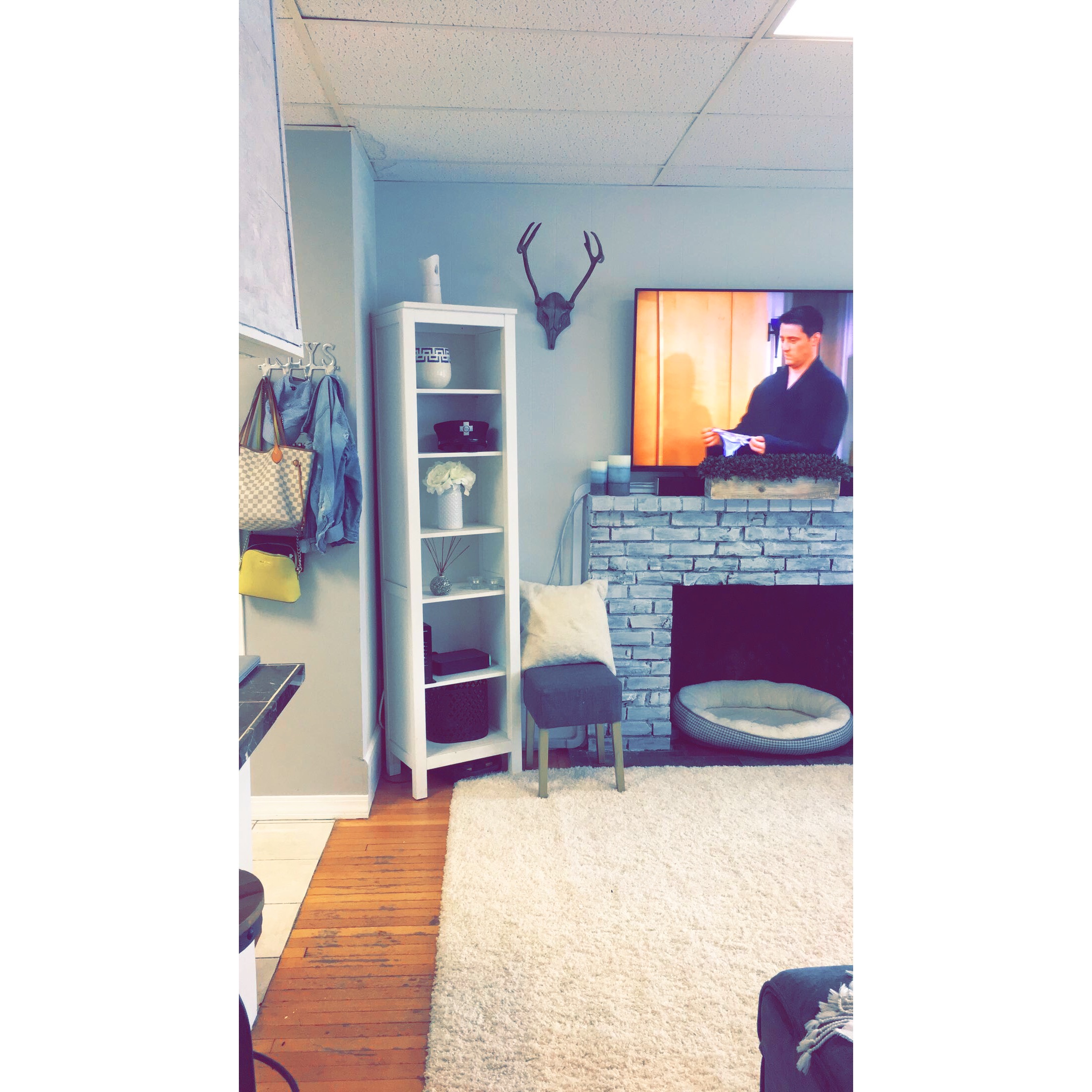 1 bed, 1 bath apartment for rent at 870 Beacon St Unit 41, Fenway — photo 8 of 17
