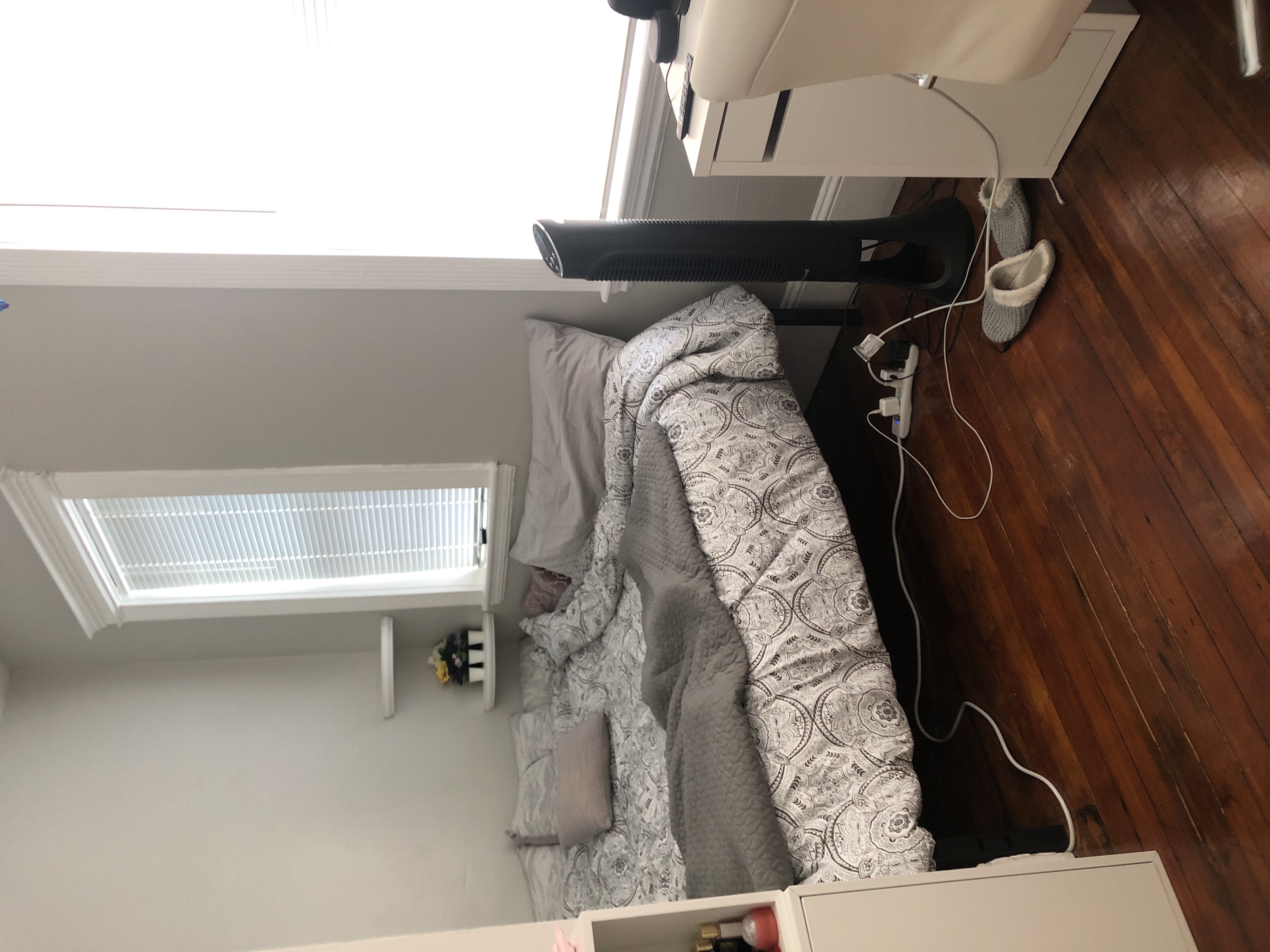 2 bed, 1 bath apartment for rent at 449 Park Dr Unit 1C, Fenway — photo 4 of 5
