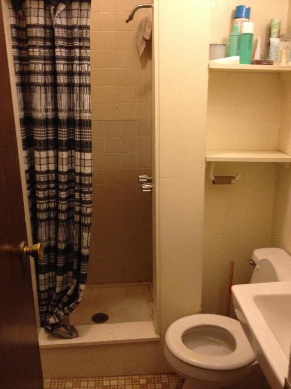 40 Anderson St, Beacon Hill