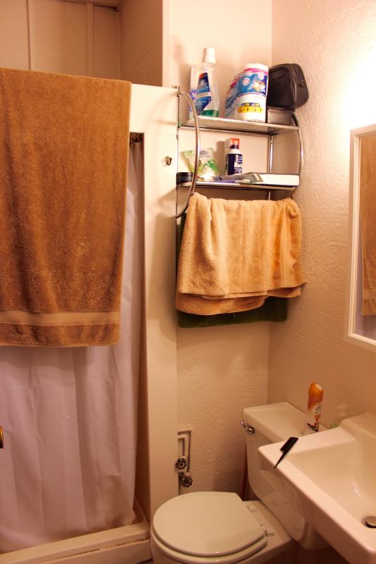 40 Anderson St, Beacon Hill