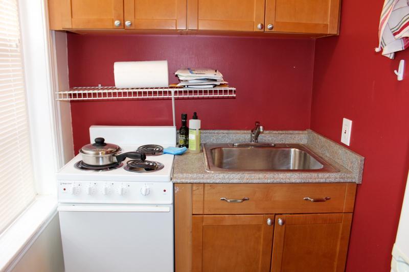 41 Anderson St, Beacon Hill