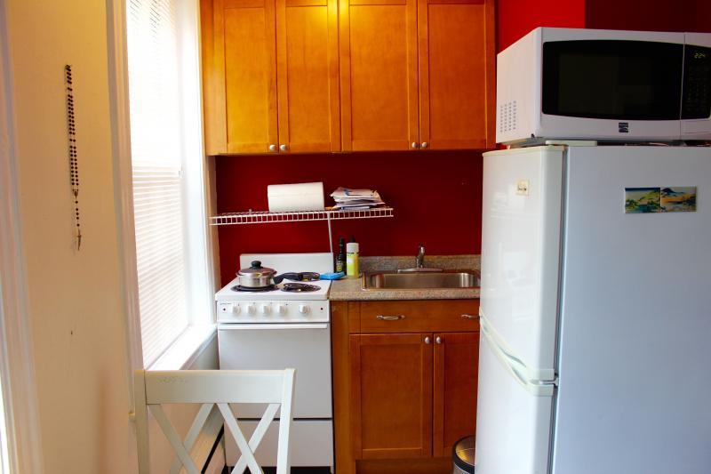 41 Anderson St, Beacon Hill