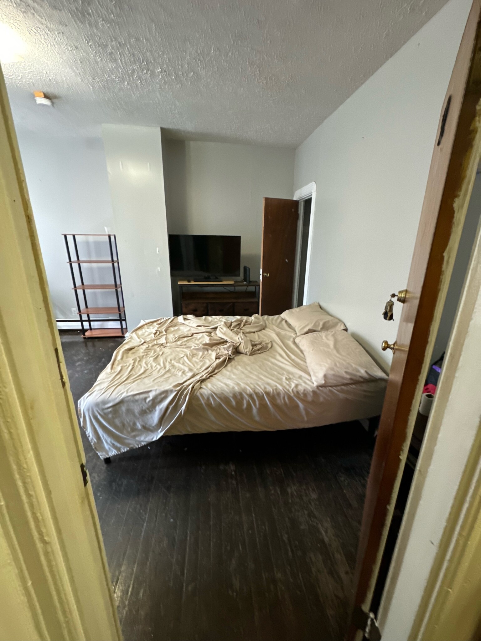 41 Anderson St, Beacon Hill