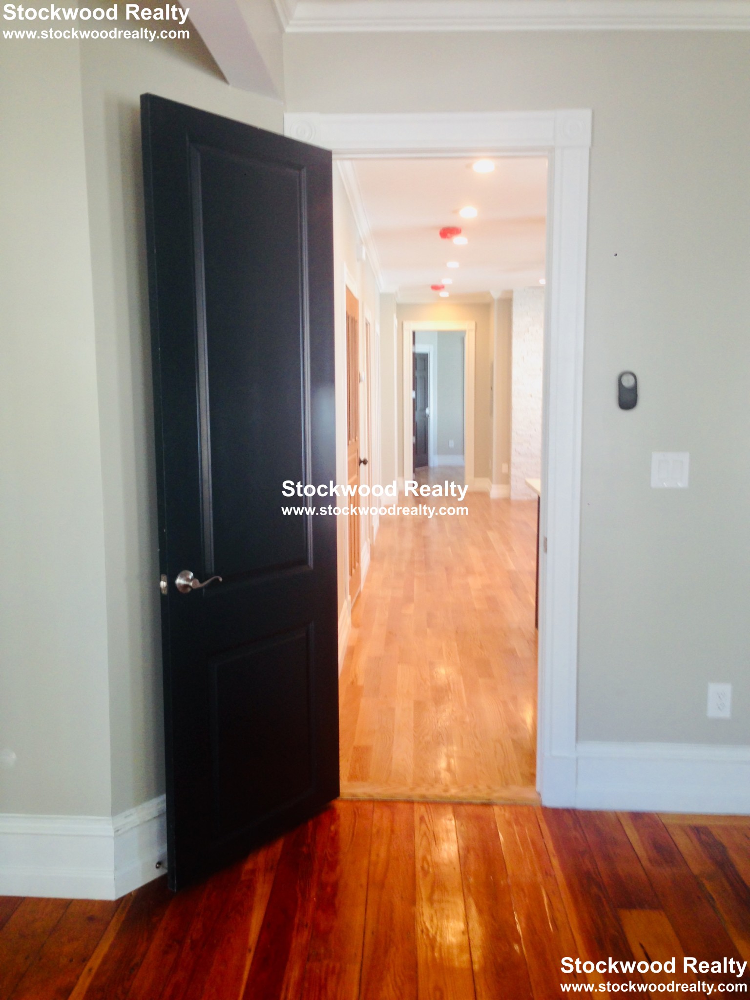 10 Dorset St, Dorchester