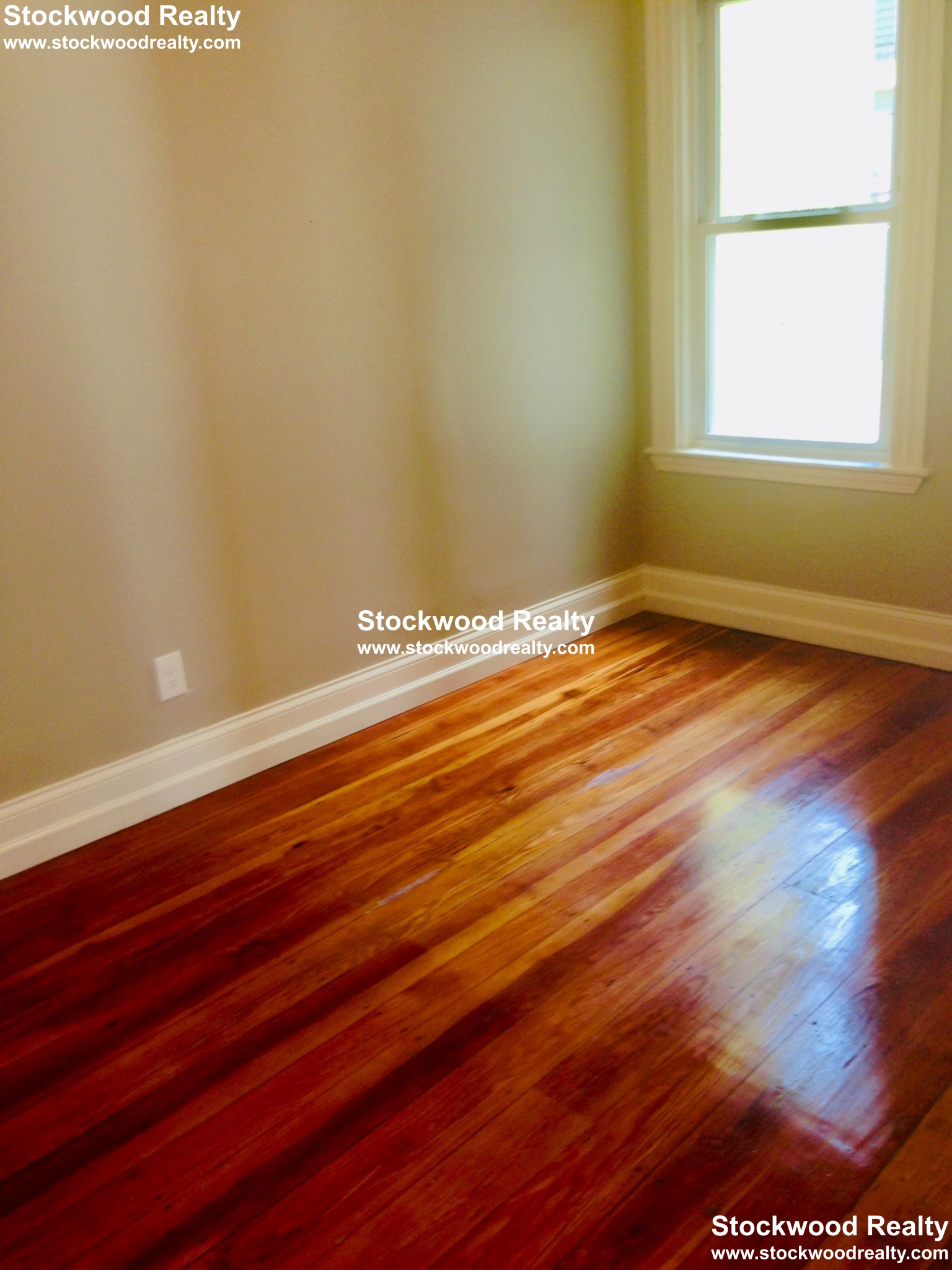 10 Dorset St, Dorchester