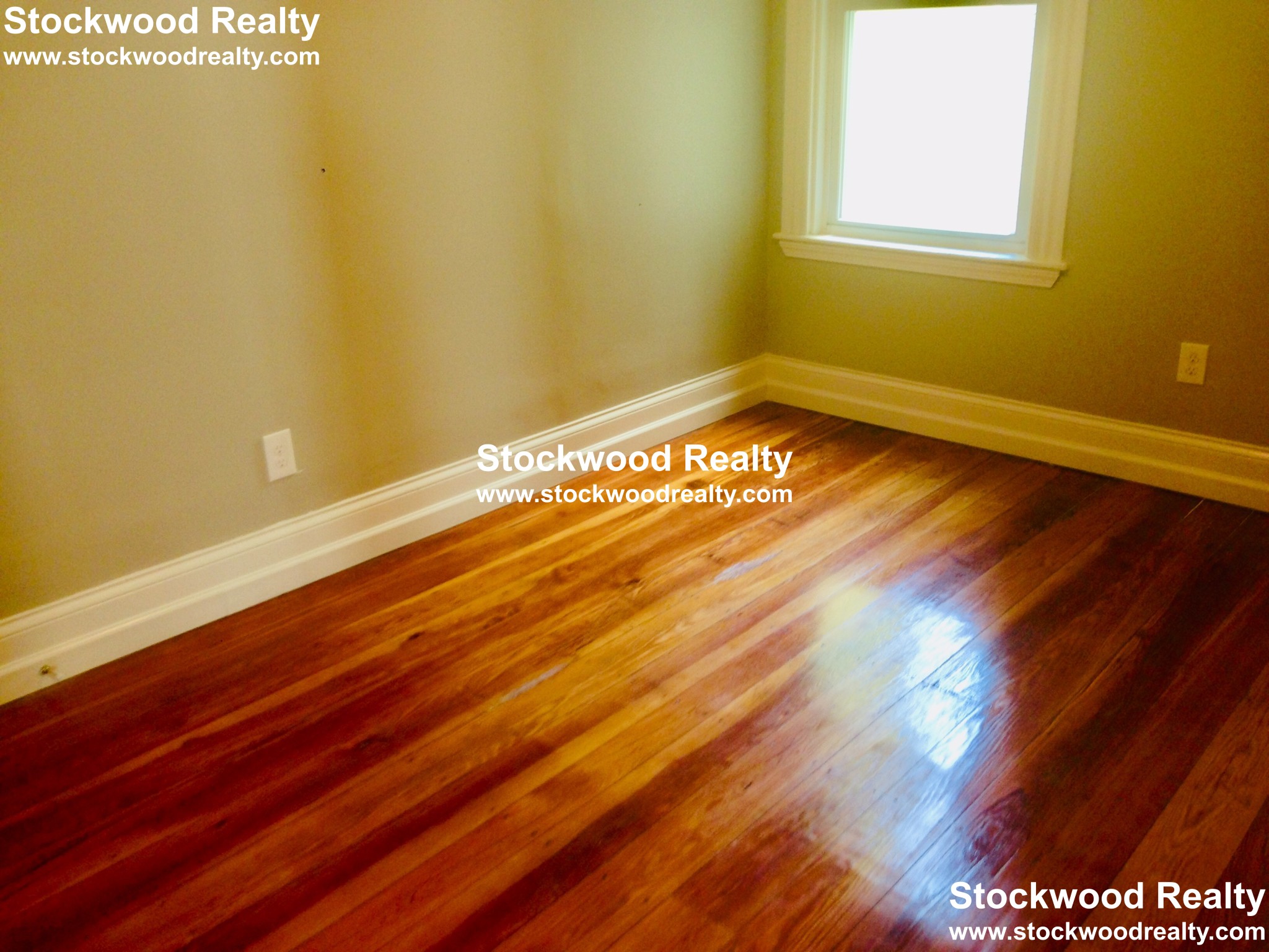 10 Dorset St, Dorchester