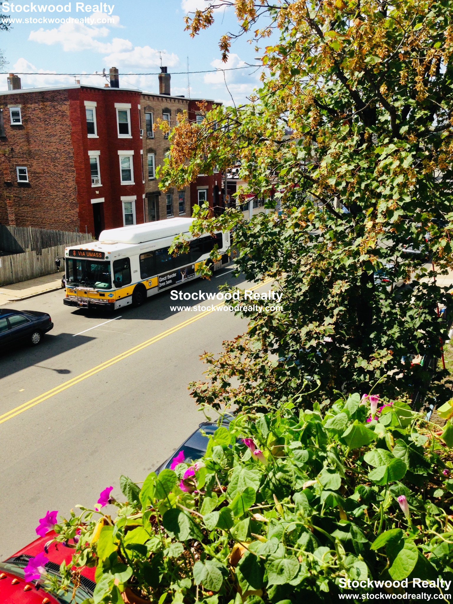 1280 Massachusetts Ave, Dorchester