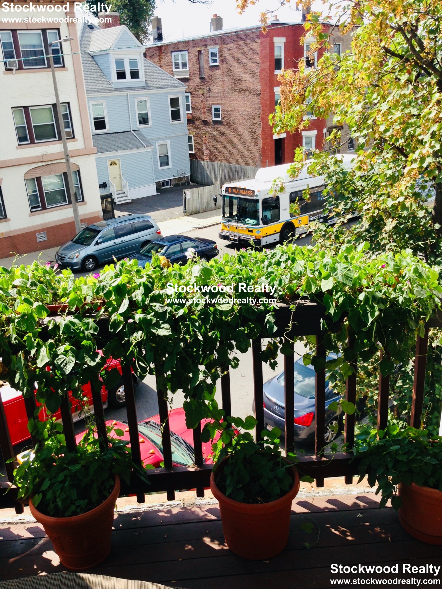 1280 Massachusetts Ave, Dorchester