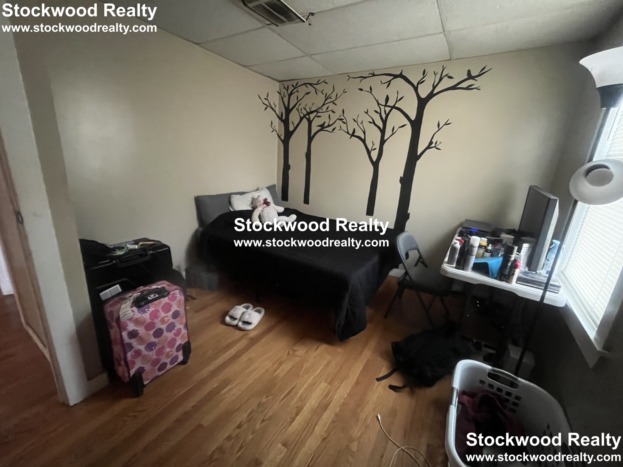 933 Dorchester Ave, Dorchester