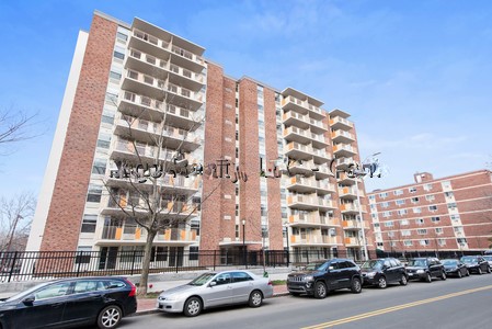 295 Harvard Lee St, Central Square