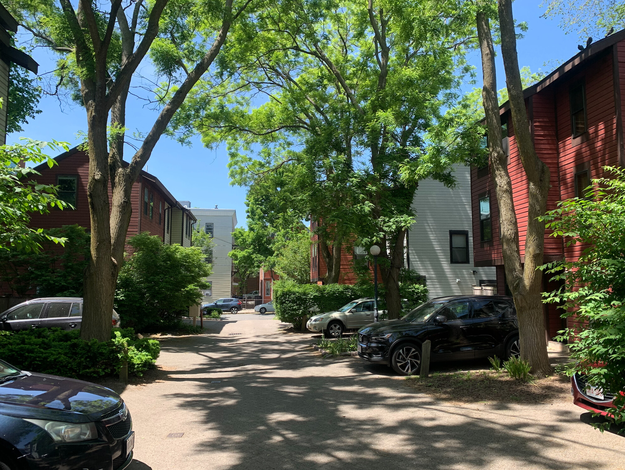 8 Lilac Ct, East Cambridge