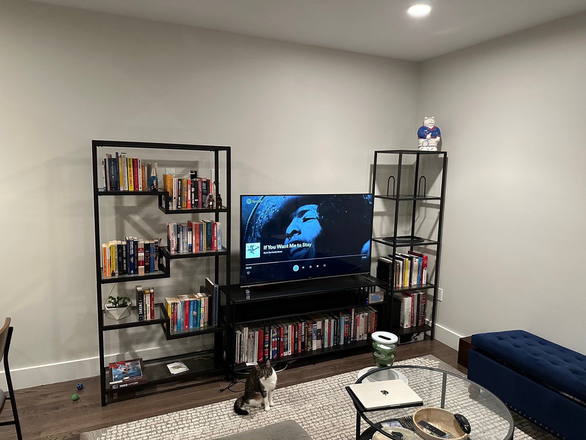 Photos of apartment on McGrath Hwy,Somerville MA 02143