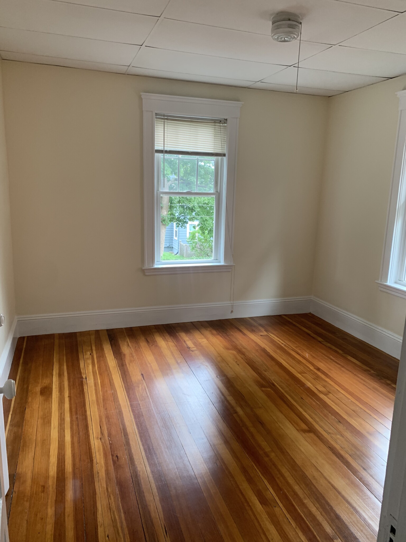 86 Lexington Ave, Huron Village