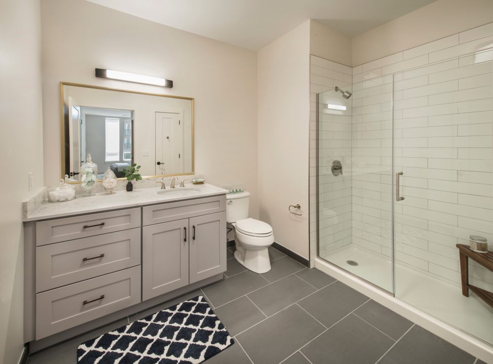 1 bed, 1 bath apartment for rent at 275 Second Ave, Needham — photo 4 of 17