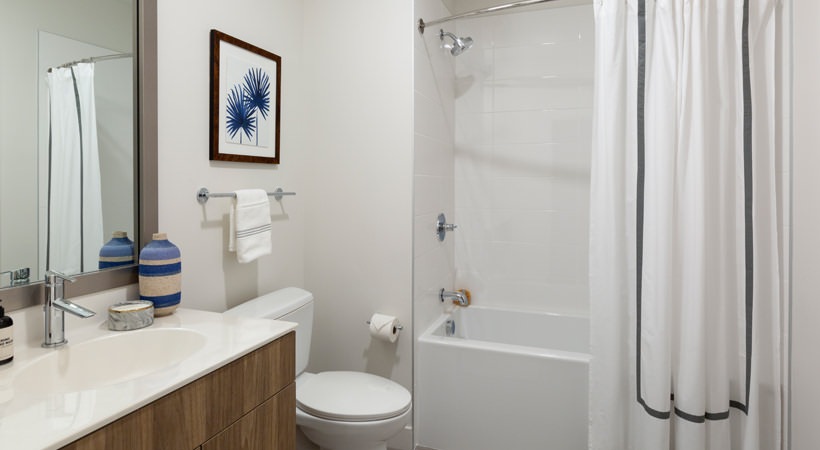 Studio bed, 1 bath apartment for rent at 130 Arsenal St, Watertown — photo 4 of 18