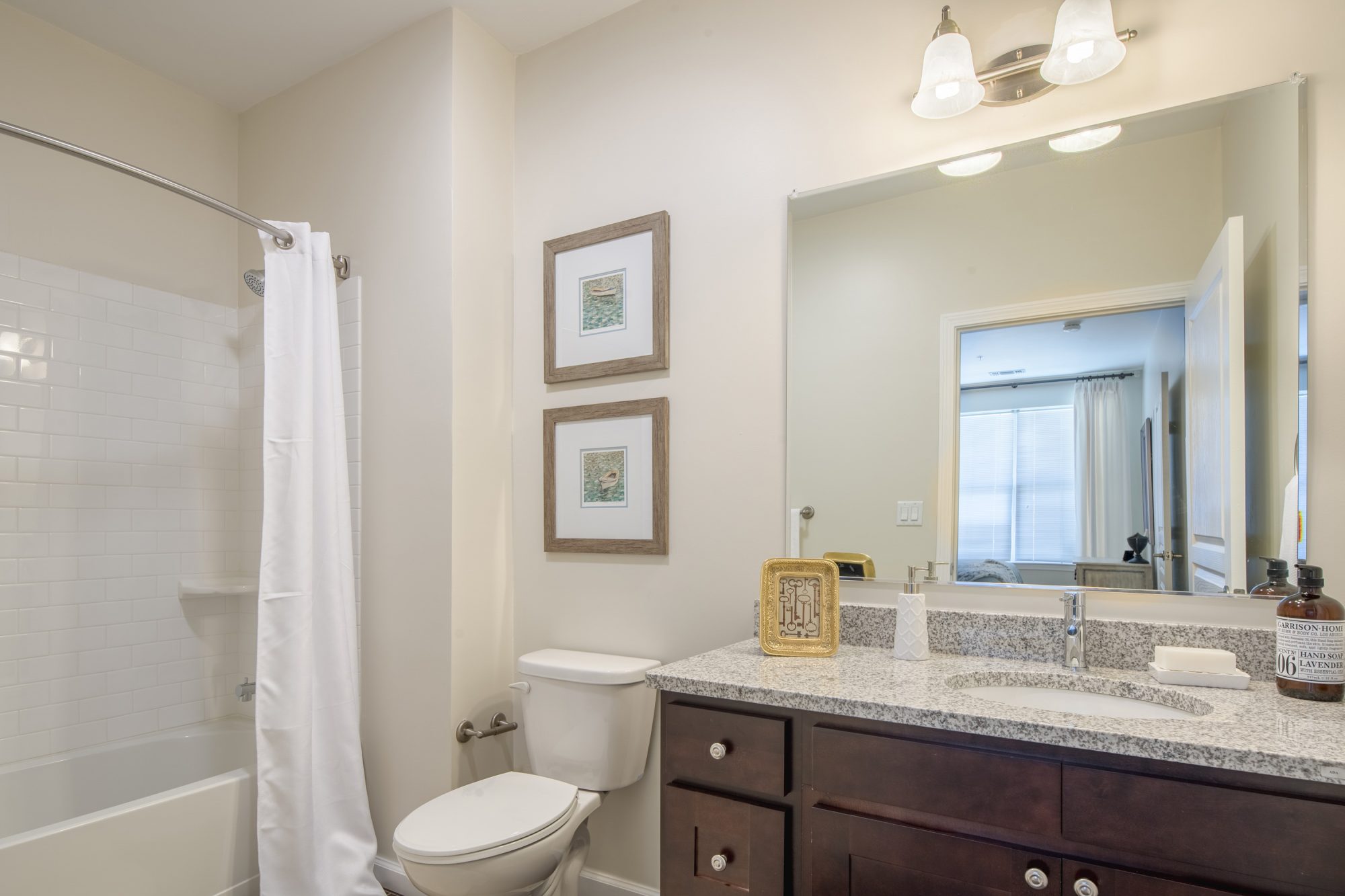 1 bed, 1 bath apartment for rent at 375 Acorn Park Dr, Belmont — photo 2 of 19