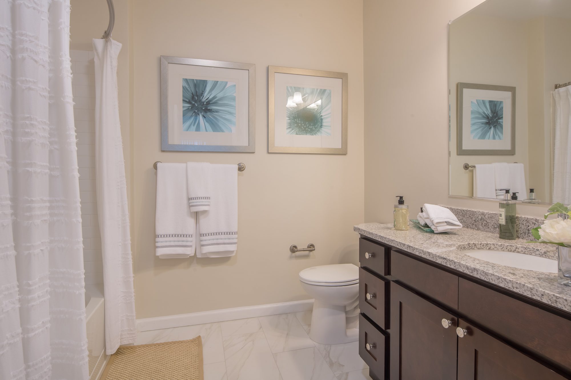 1 bed, 1 bath apartment for rent at 375 Acorn Park Dr, Belmont — photo 10 of 19