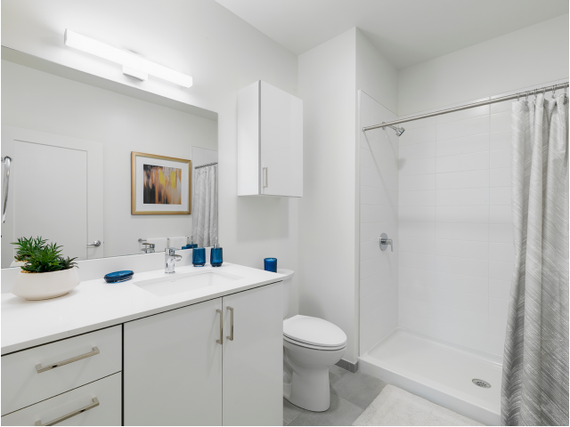 2 bed, 2 bath apartment for rent at 1235 Vfw Pkwy, West Roxbury — photo 6 of 6