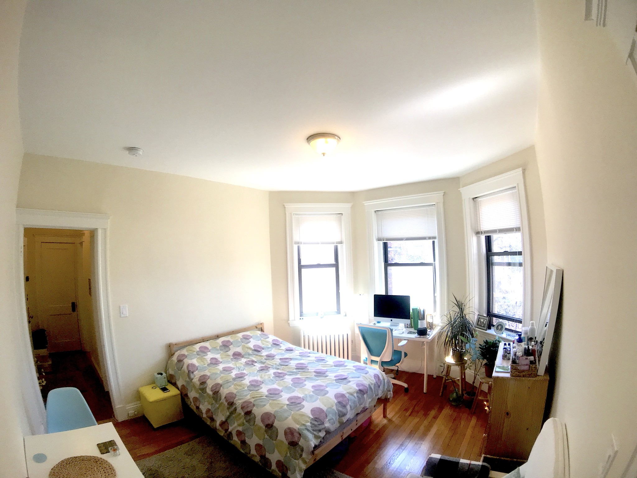 Studio, 1 bath apartment for rent at 319 Allston St Unit 17, Boston — photo 3 of 4