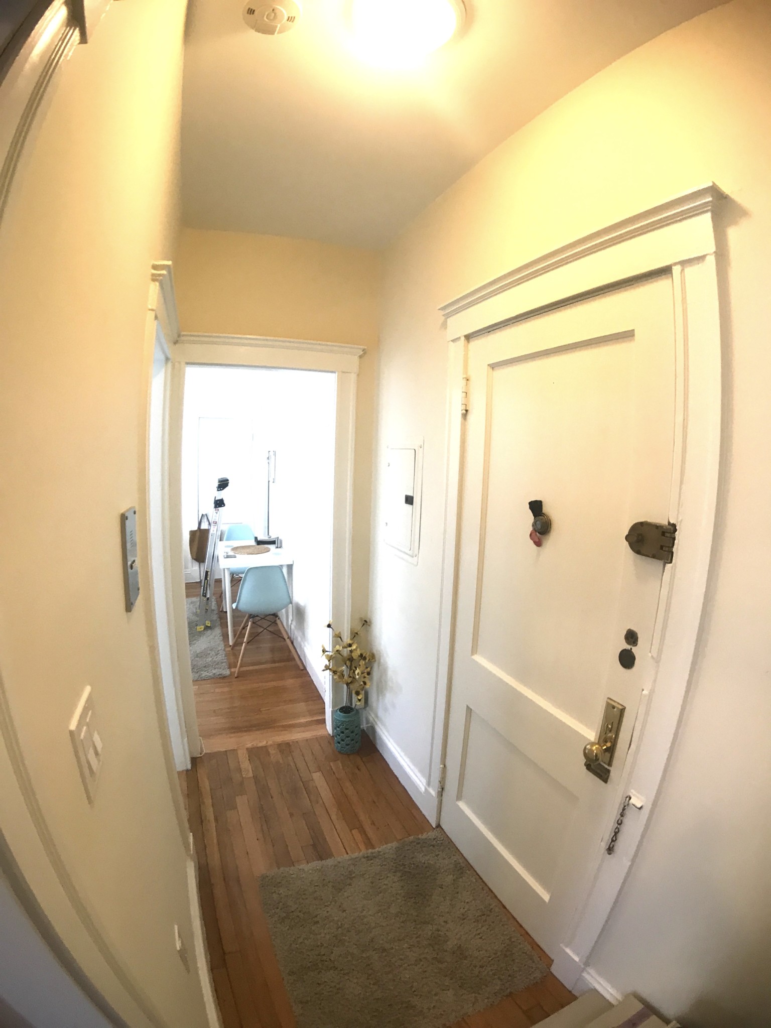 Studio, 1 bath apartment for rent at 319 Allston St Unit 17, Boston — photo 4 of 4