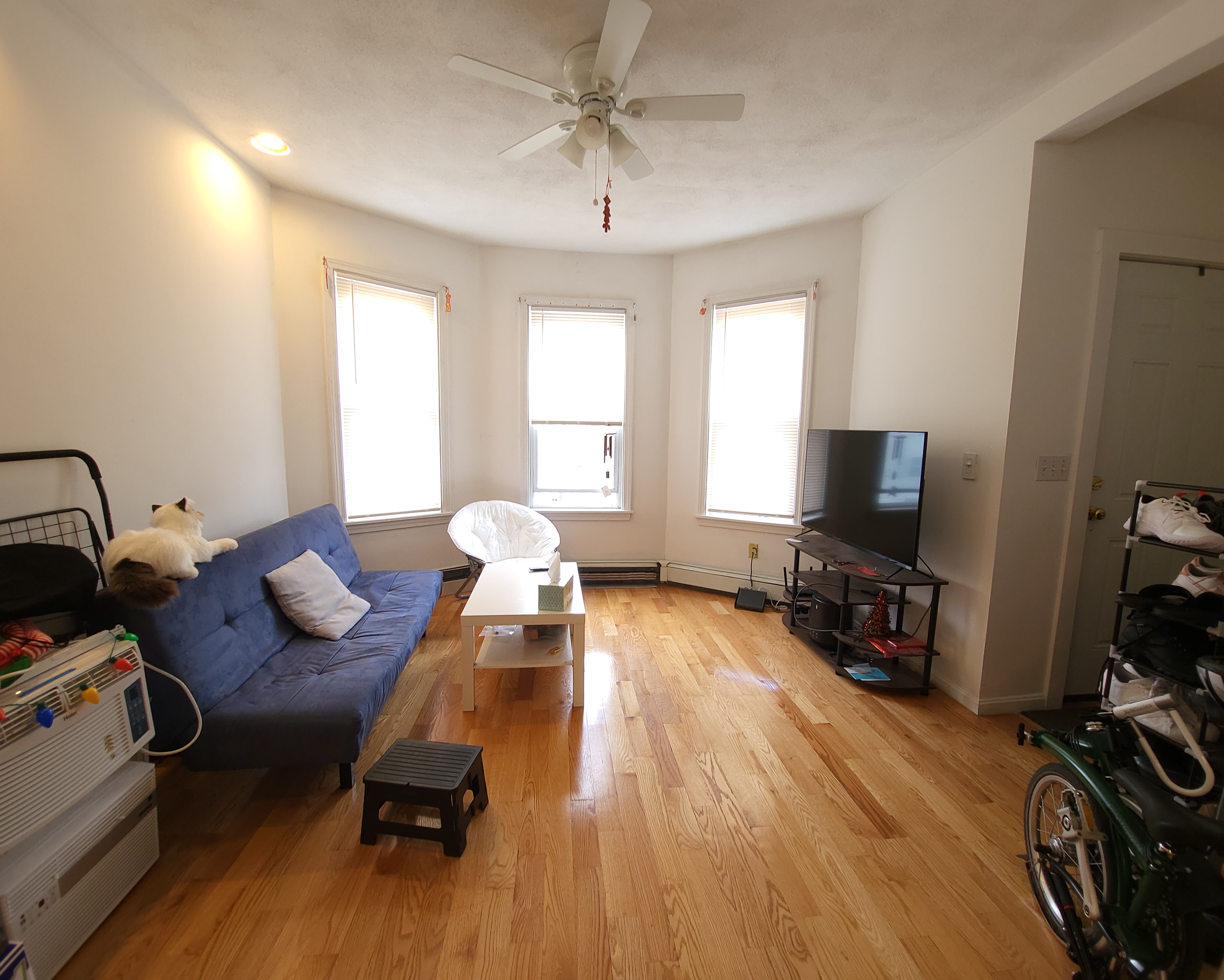 58 Mansfield St, Allston