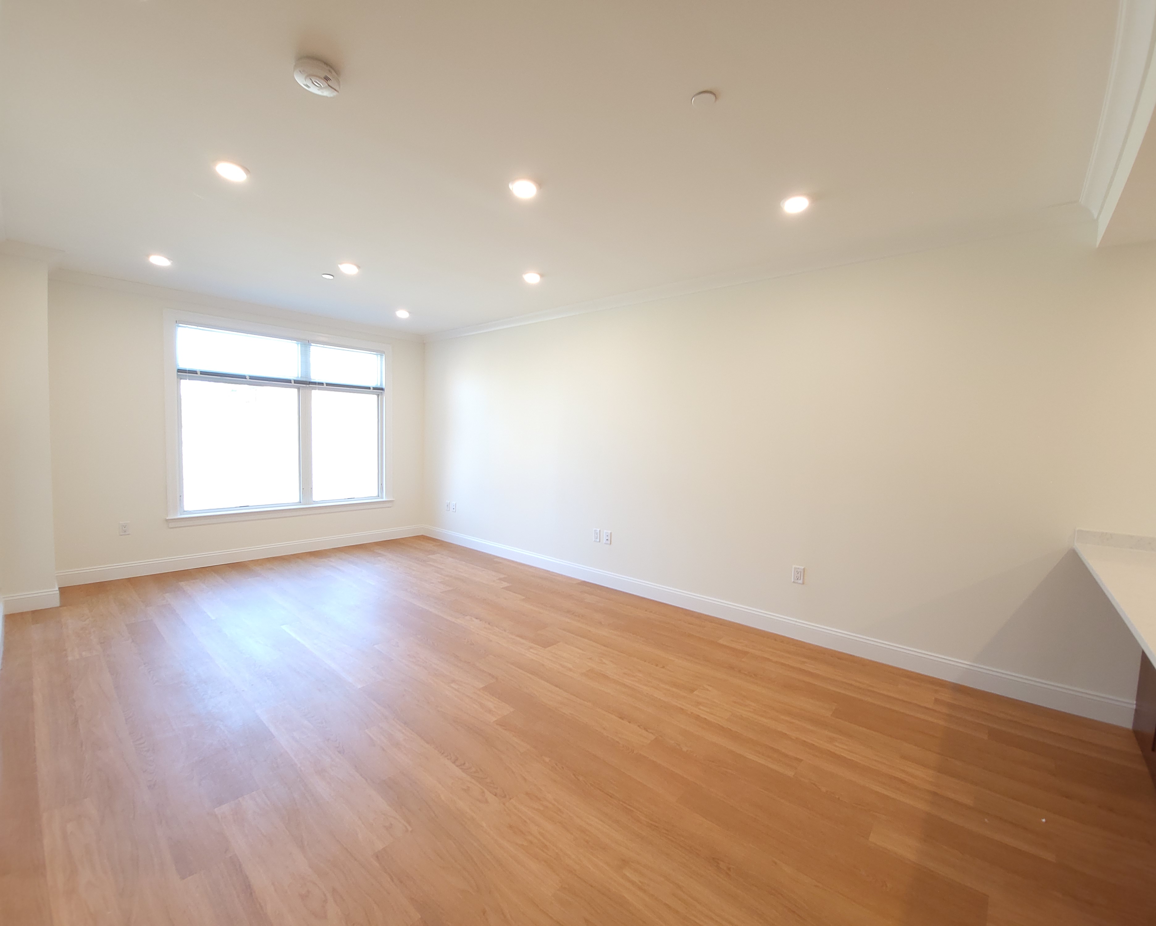 101 Asheville Rd, Chestnut Hill