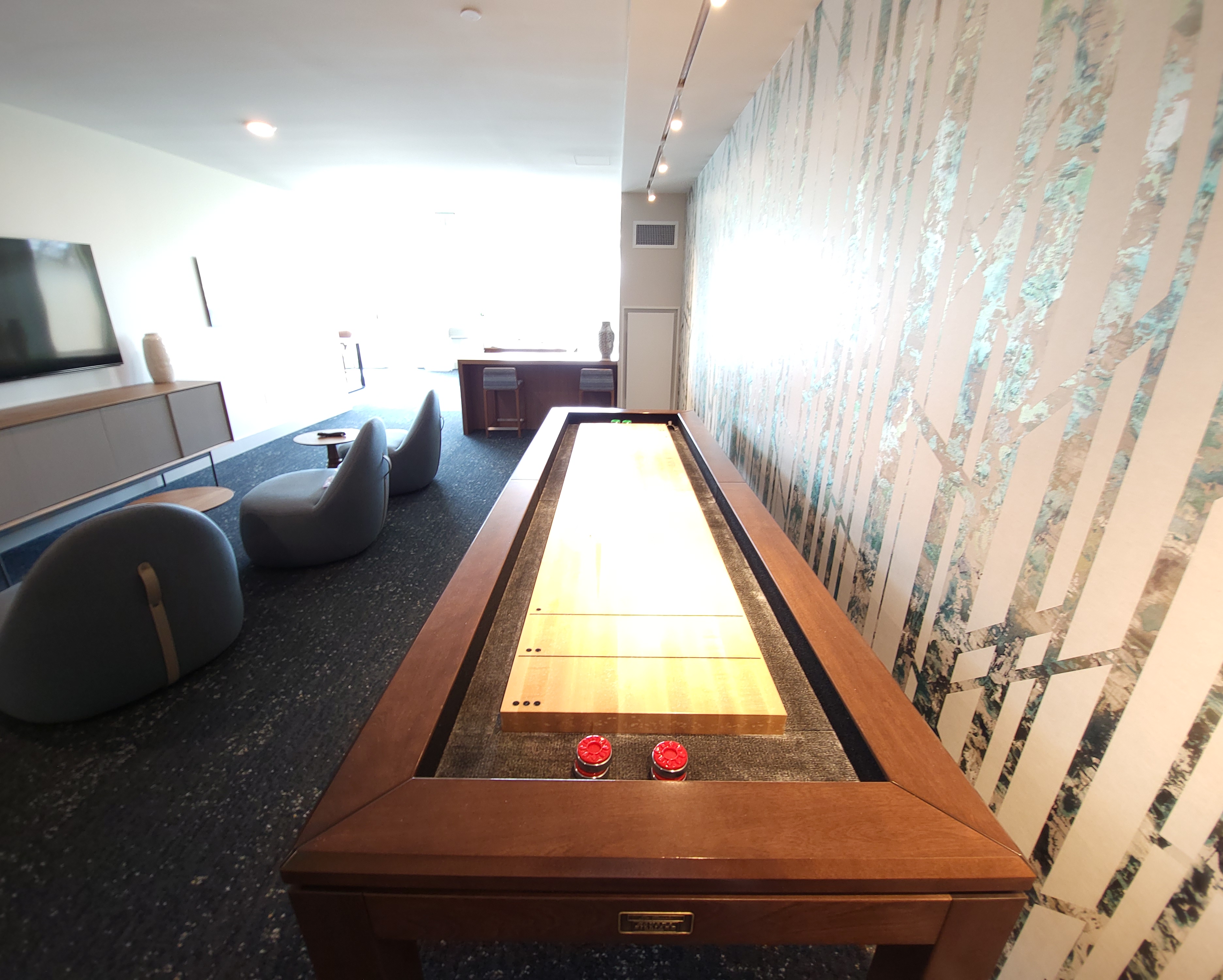 101 Asheville Rd, Chestnut Hill