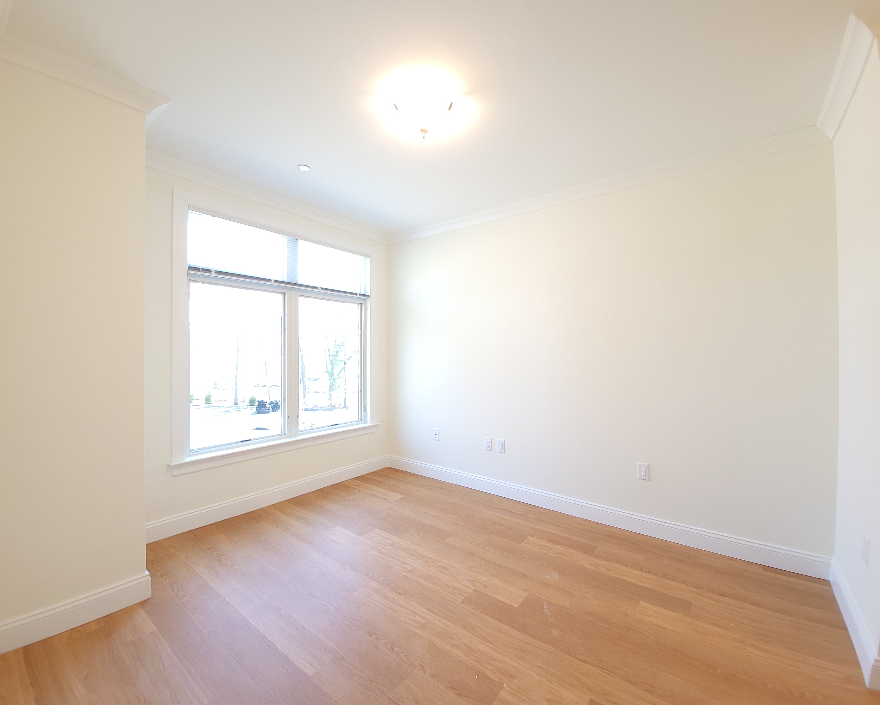 101 Asheville Rd, Chestnut Hill