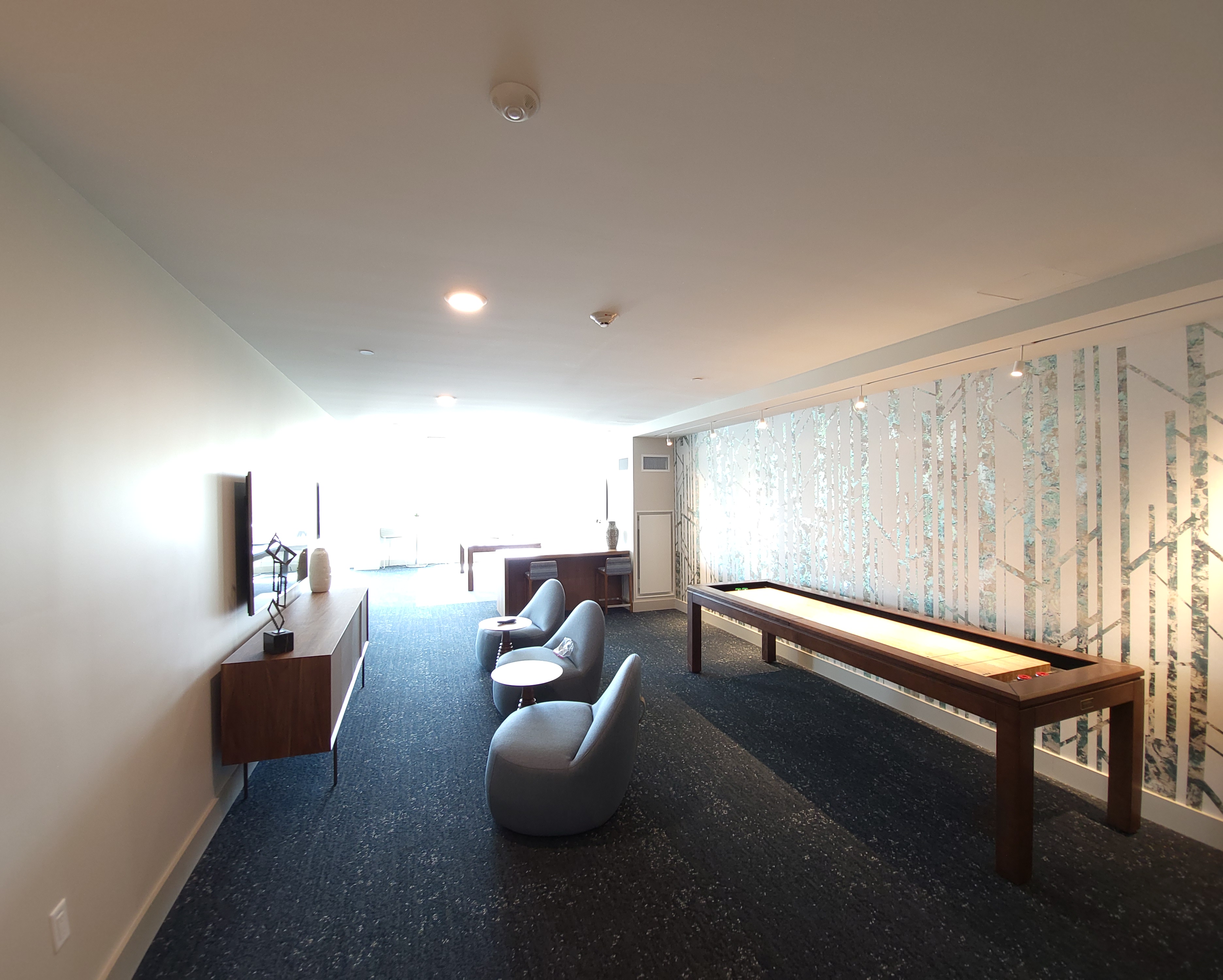 101 Asheville Rd, Chestnut Hill