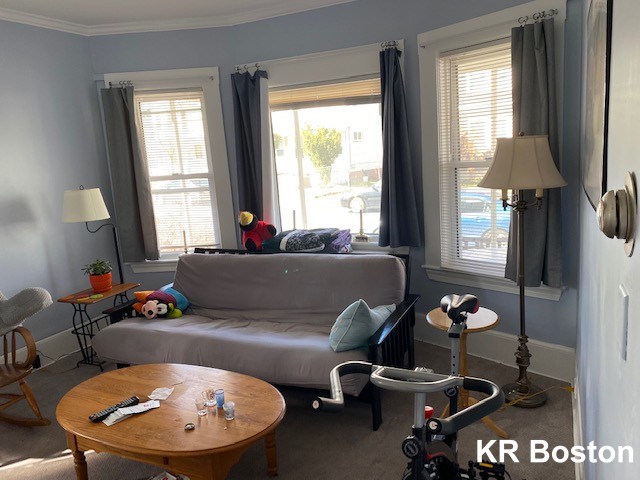 25 Oak Square Ave, Brighton