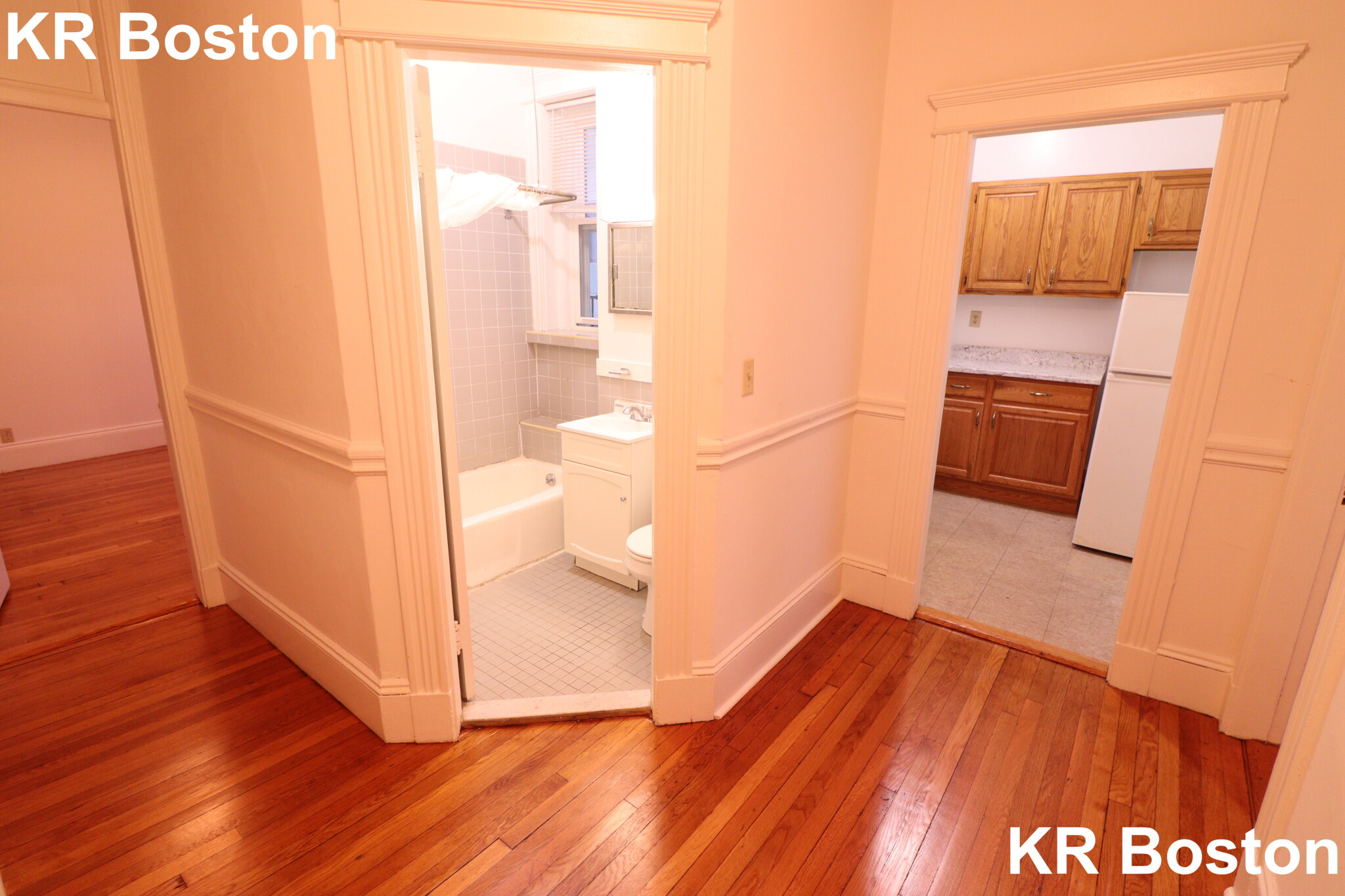 14 Palace Rd, Fenway