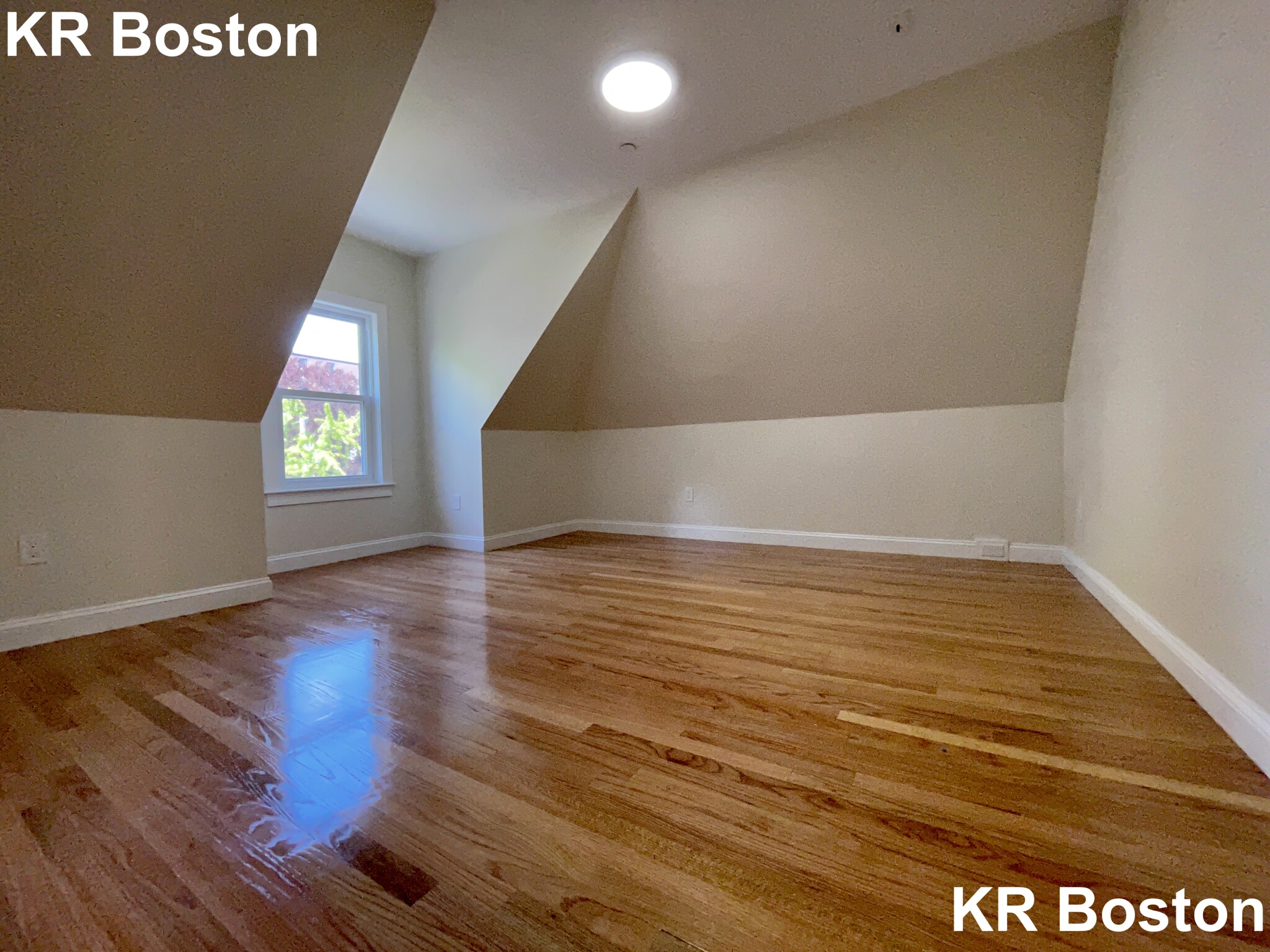 12 Harris St, Coolidge Corner