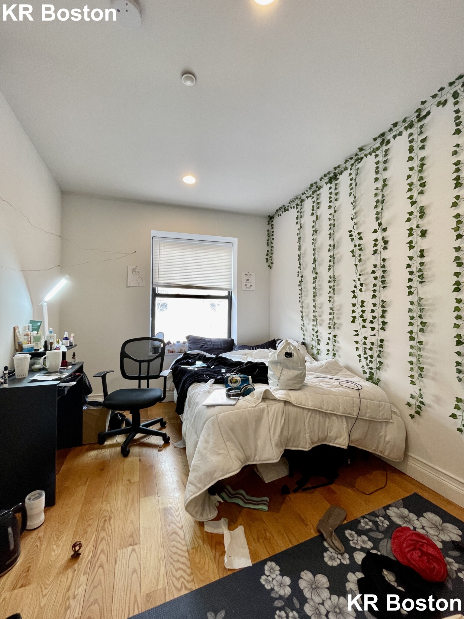 64 Louis Prang St, Fenway