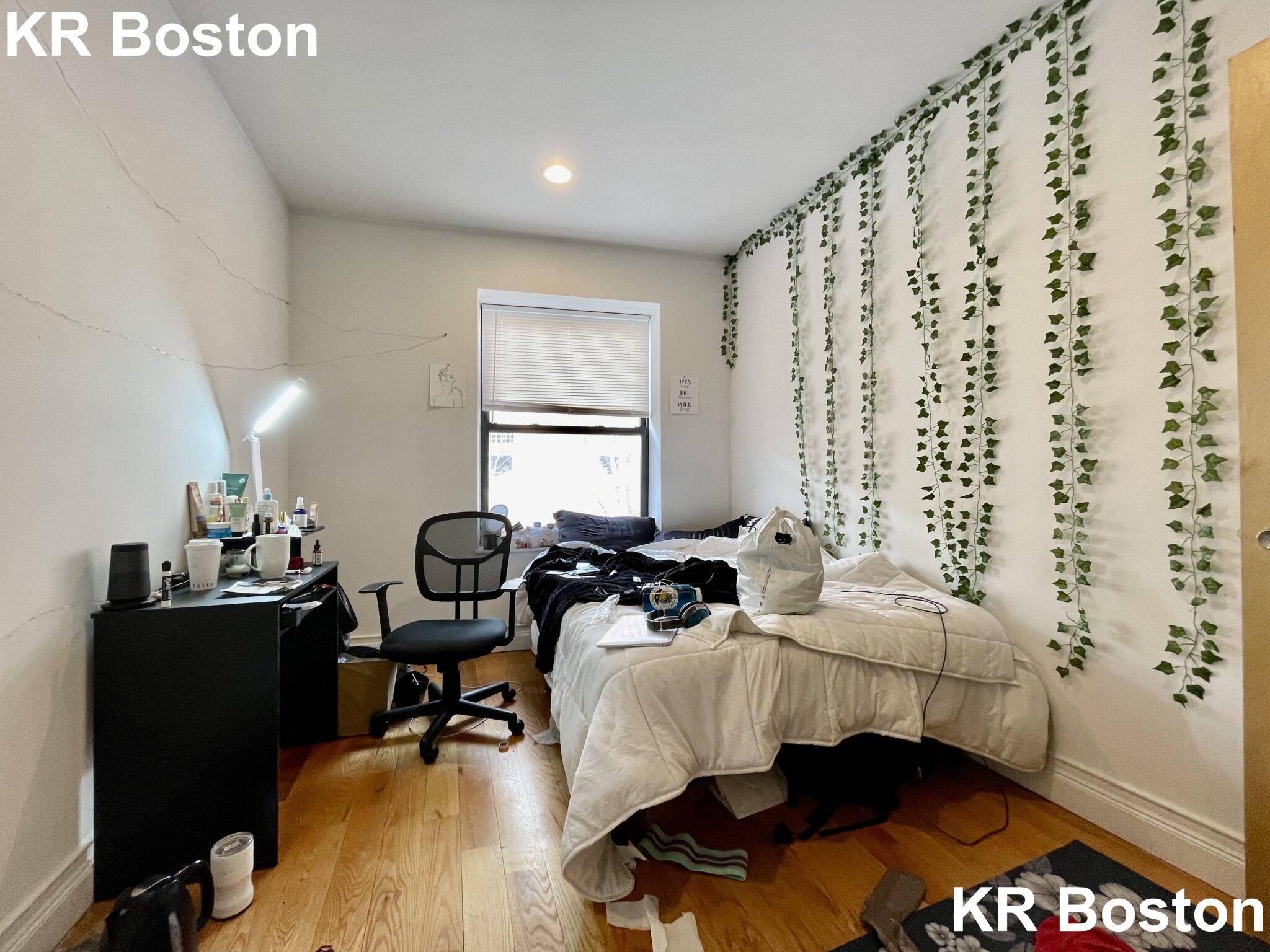 64 Louis Prang St, Fenway