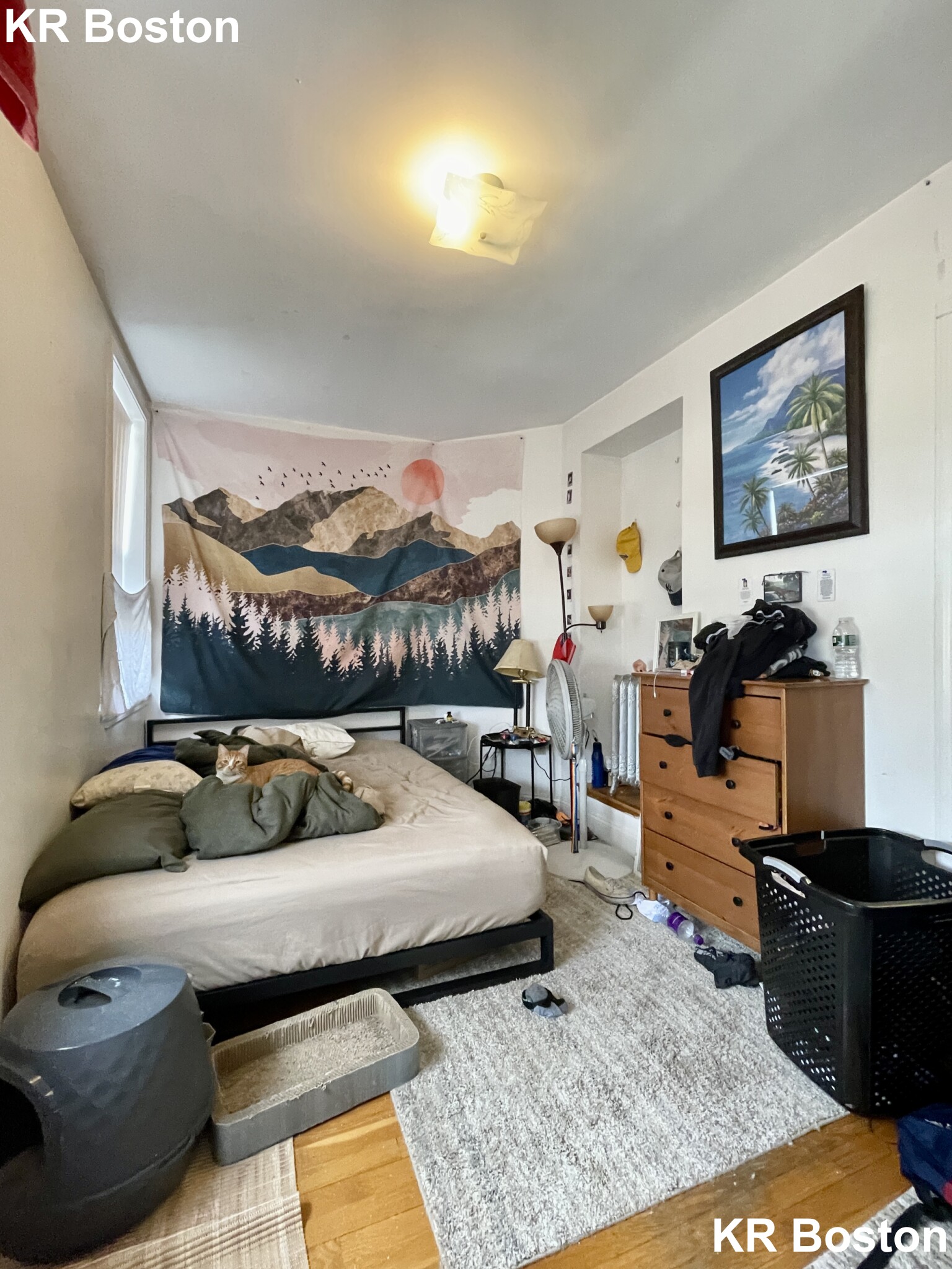 41 Egremont Rd, Brighton