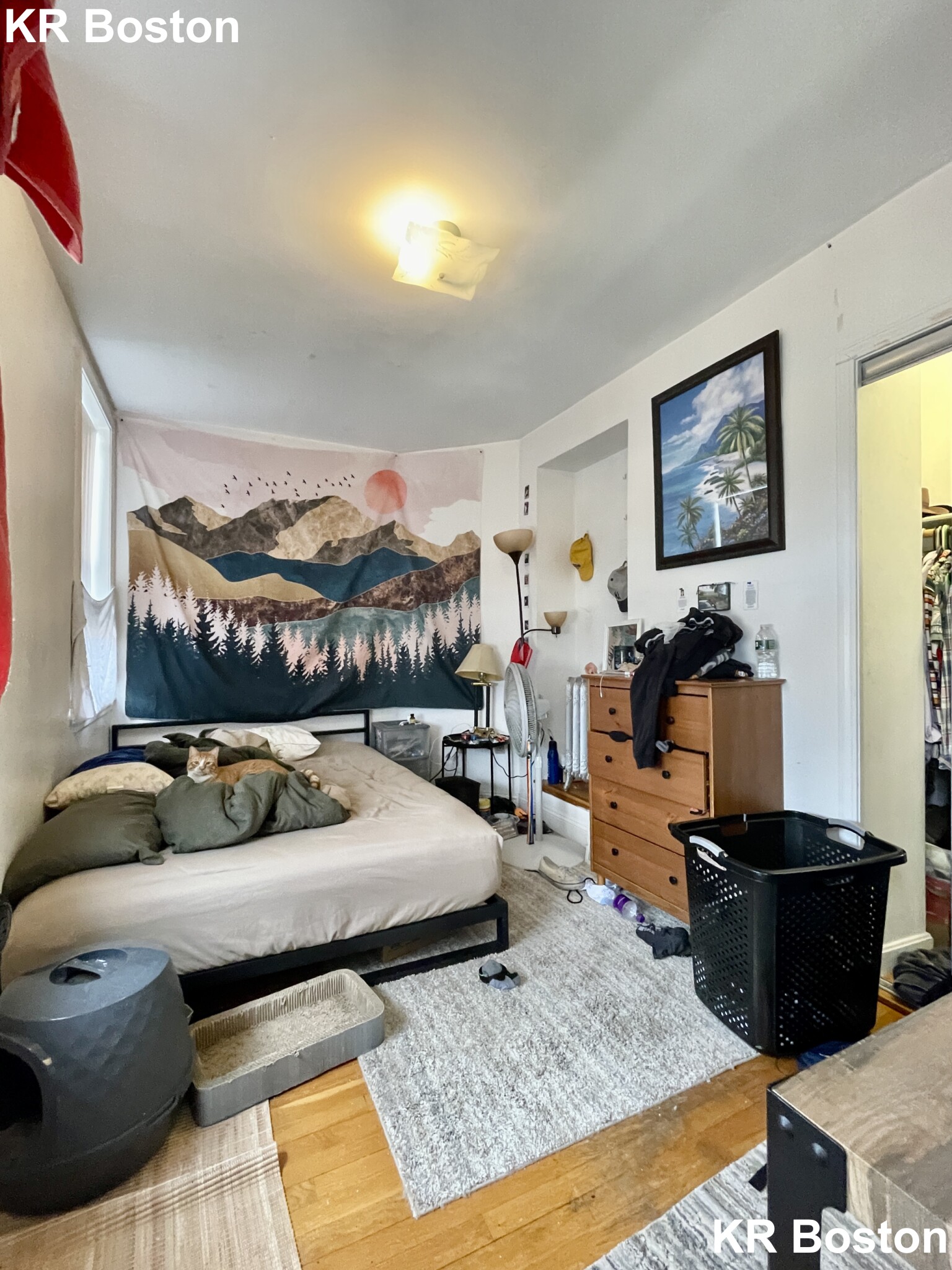 41 Egremont Rd, Brighton