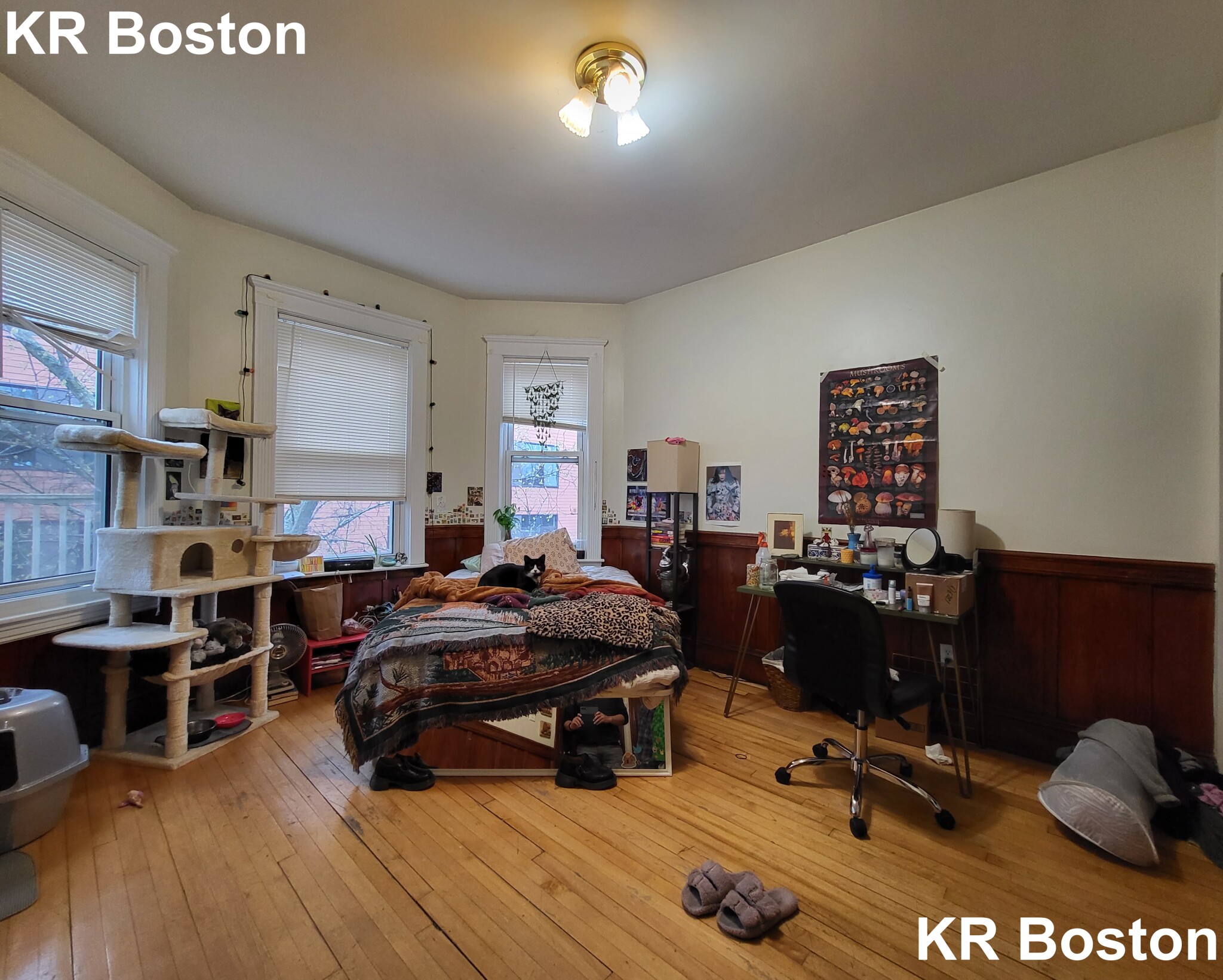 59 Linden St, Allston