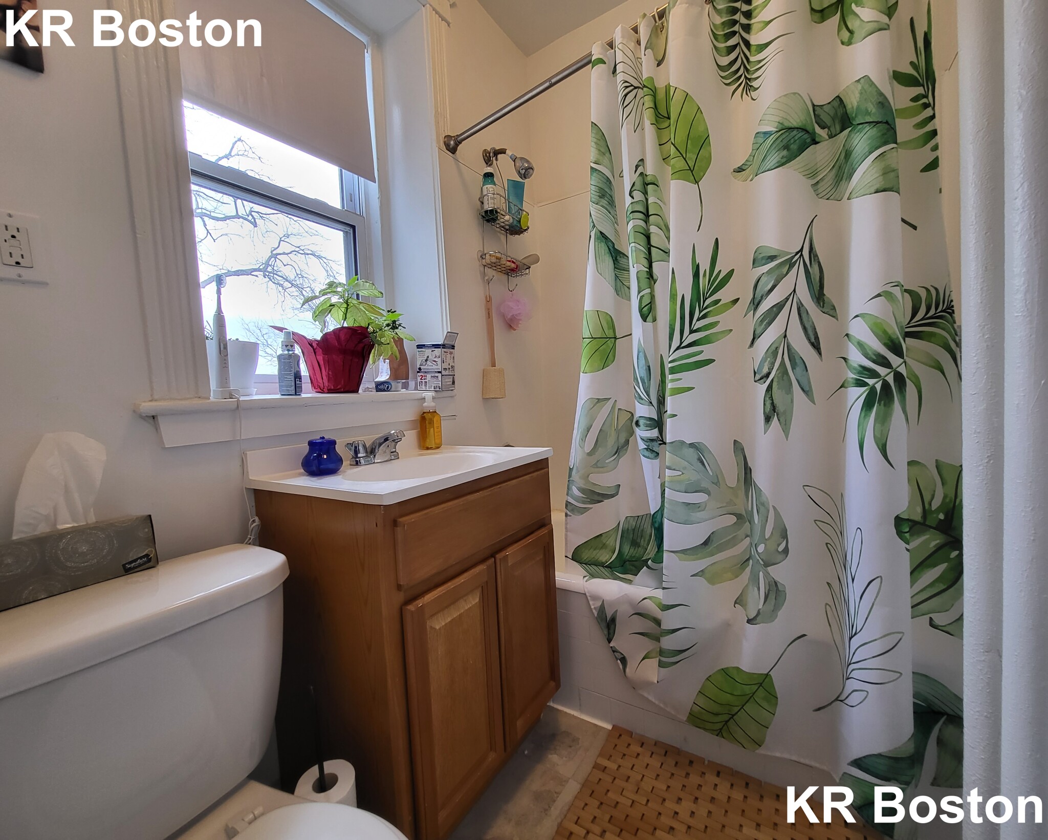 8 Vinal St, Brighton